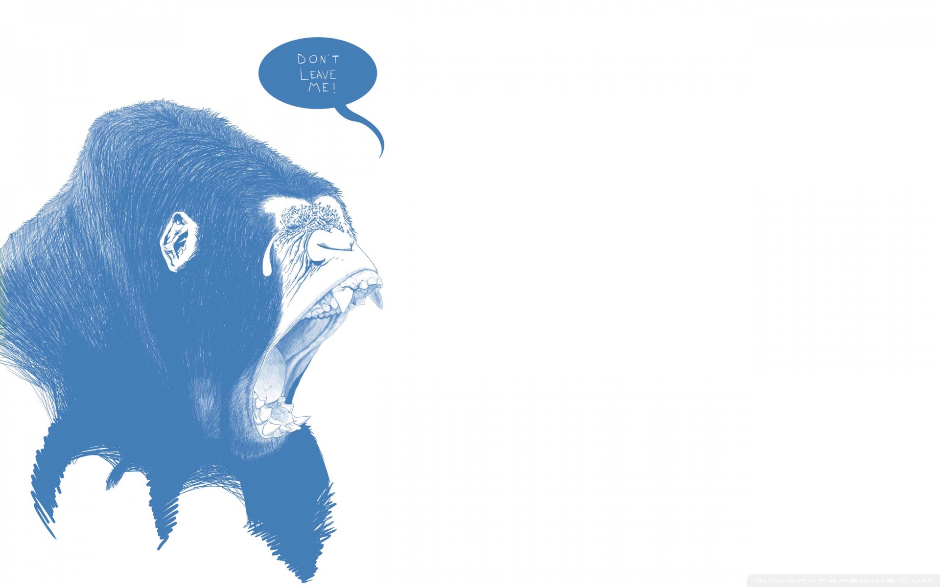 Обои Минимализм горилла