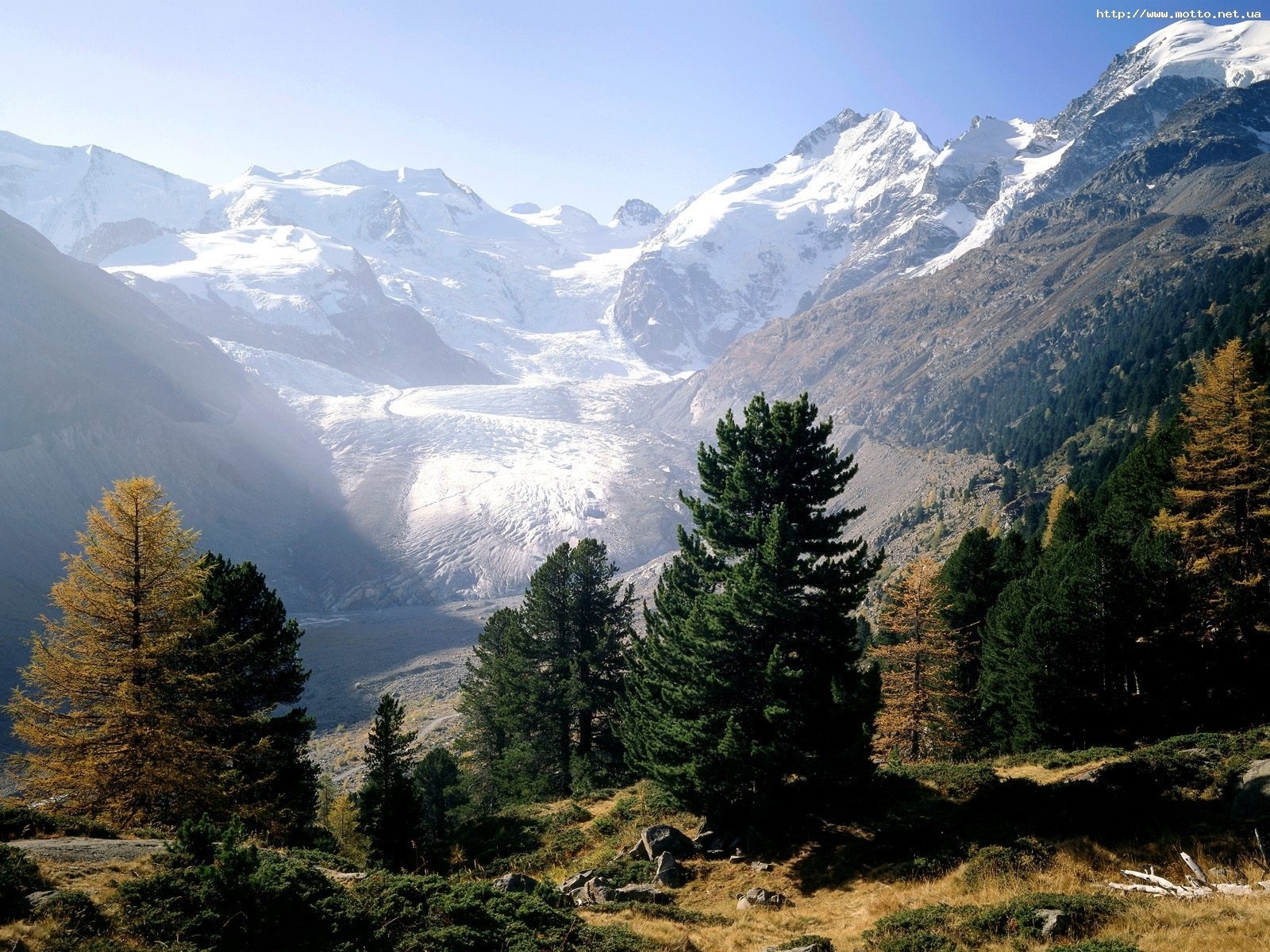 Laden Sie das Mountains, Landschaft, Tannenbaum-Bild kostenlos auf Ihren PC-Desktop herunter