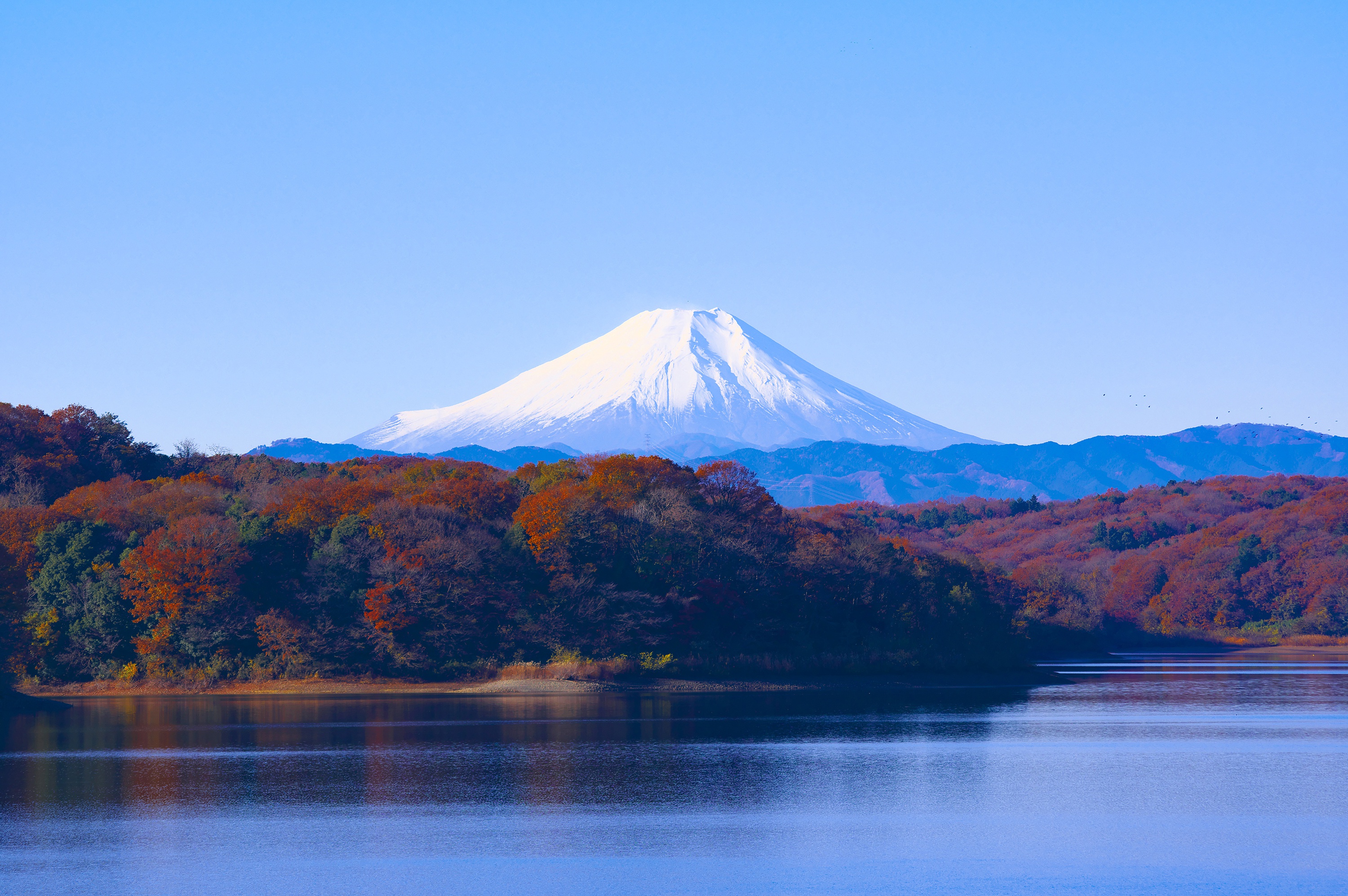 お使いの携帯電話の394623スクリーンセーバーと壁紙富士山。 の写真を無料でダウンロード