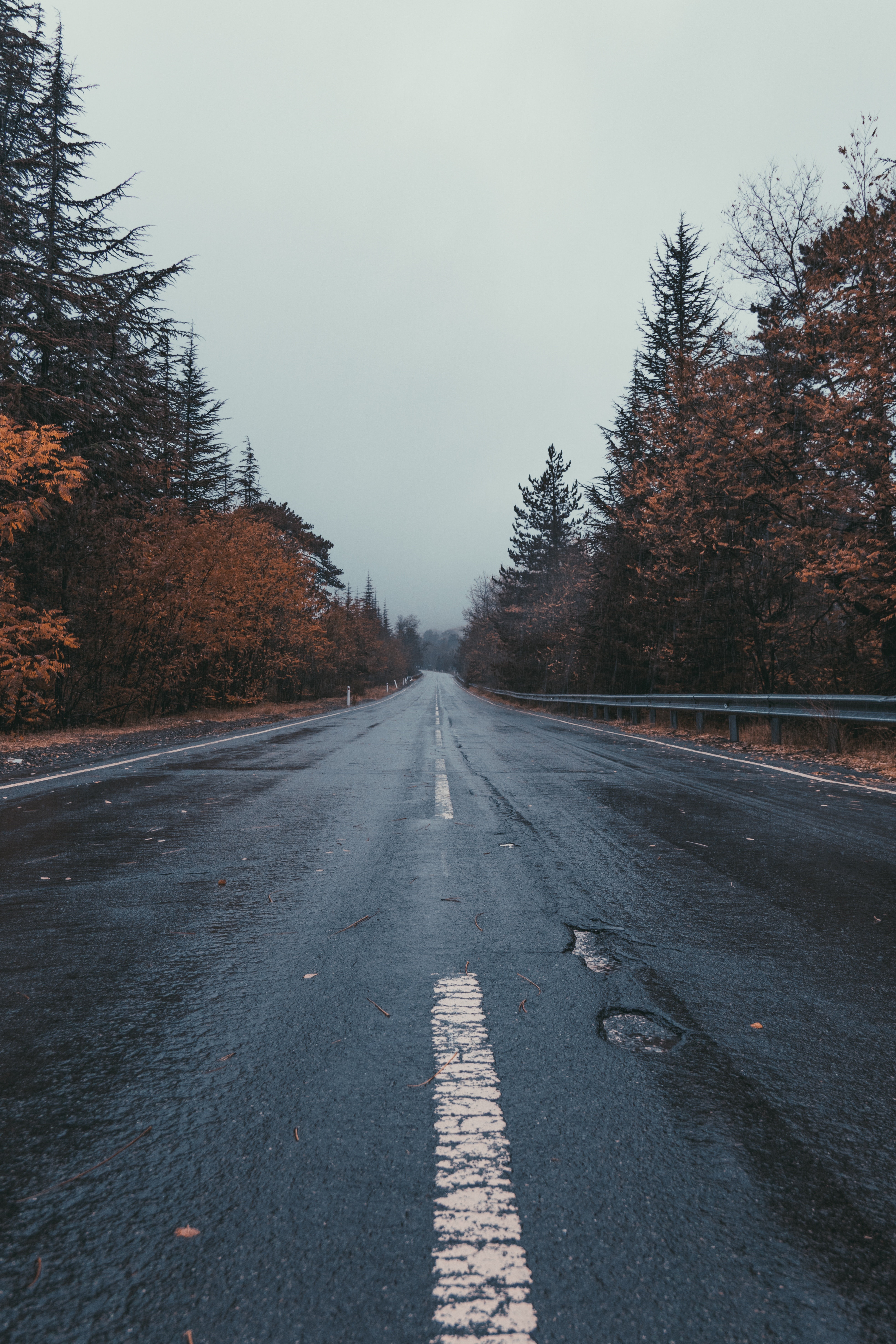 mainly cloudy, nature, trees, road, markup, overcast 5K