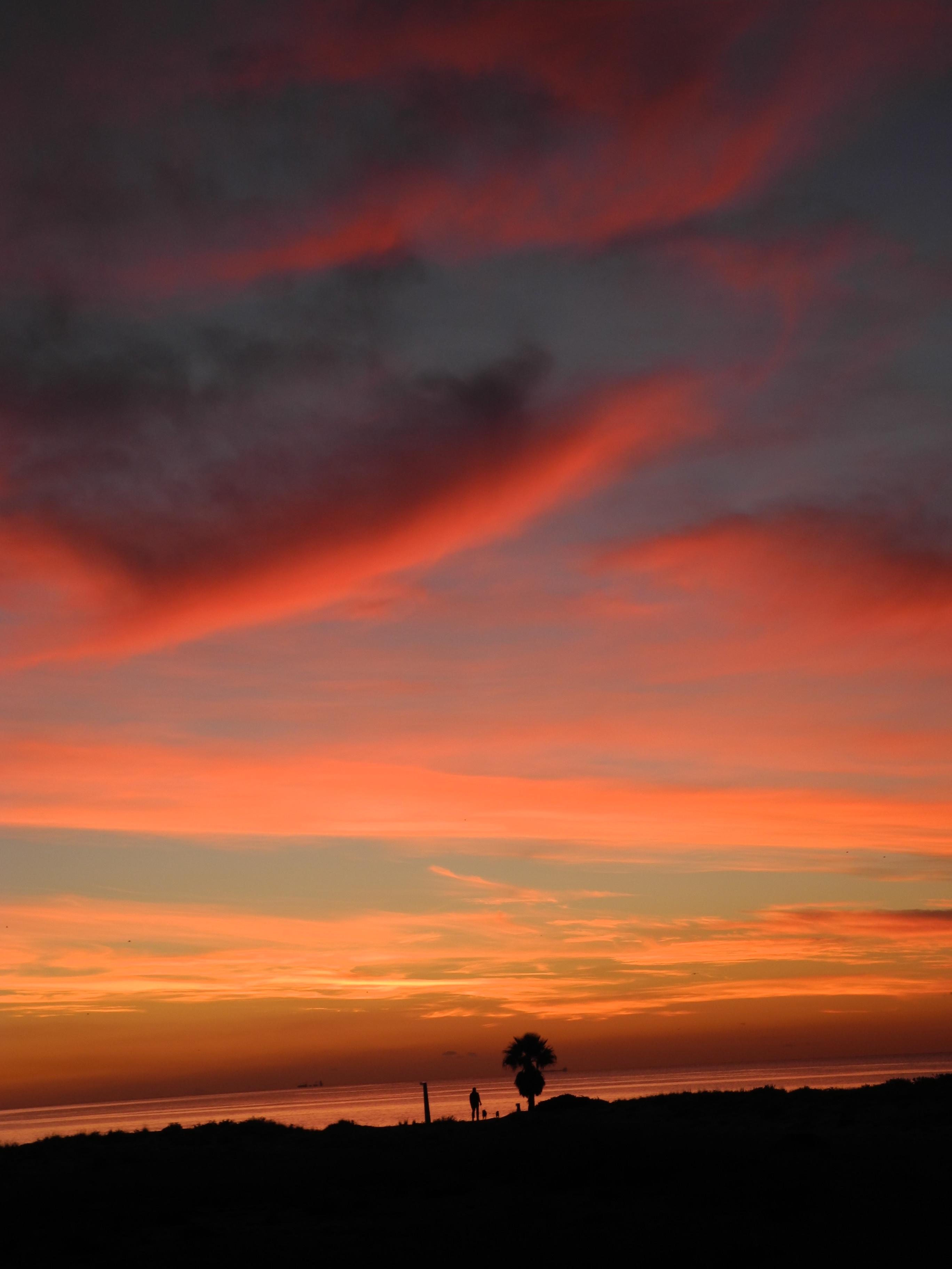 Handy-Wallpaper Sunset, Palm, Natur, Sky, Küste, Palme kostenlos herunterladen.
