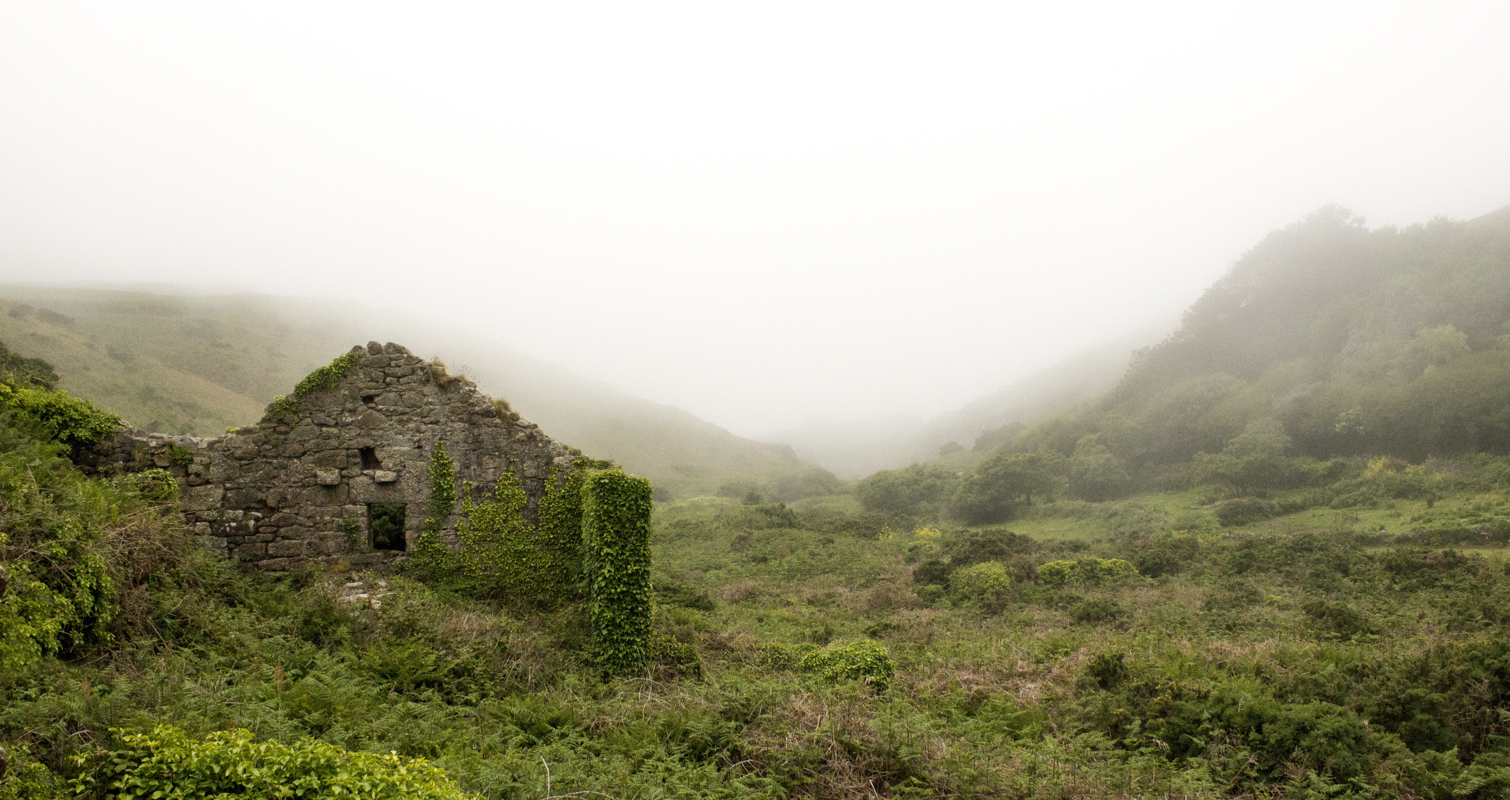 ruins, nature, grass, mountains, fog, ruin lock screen backgrounds