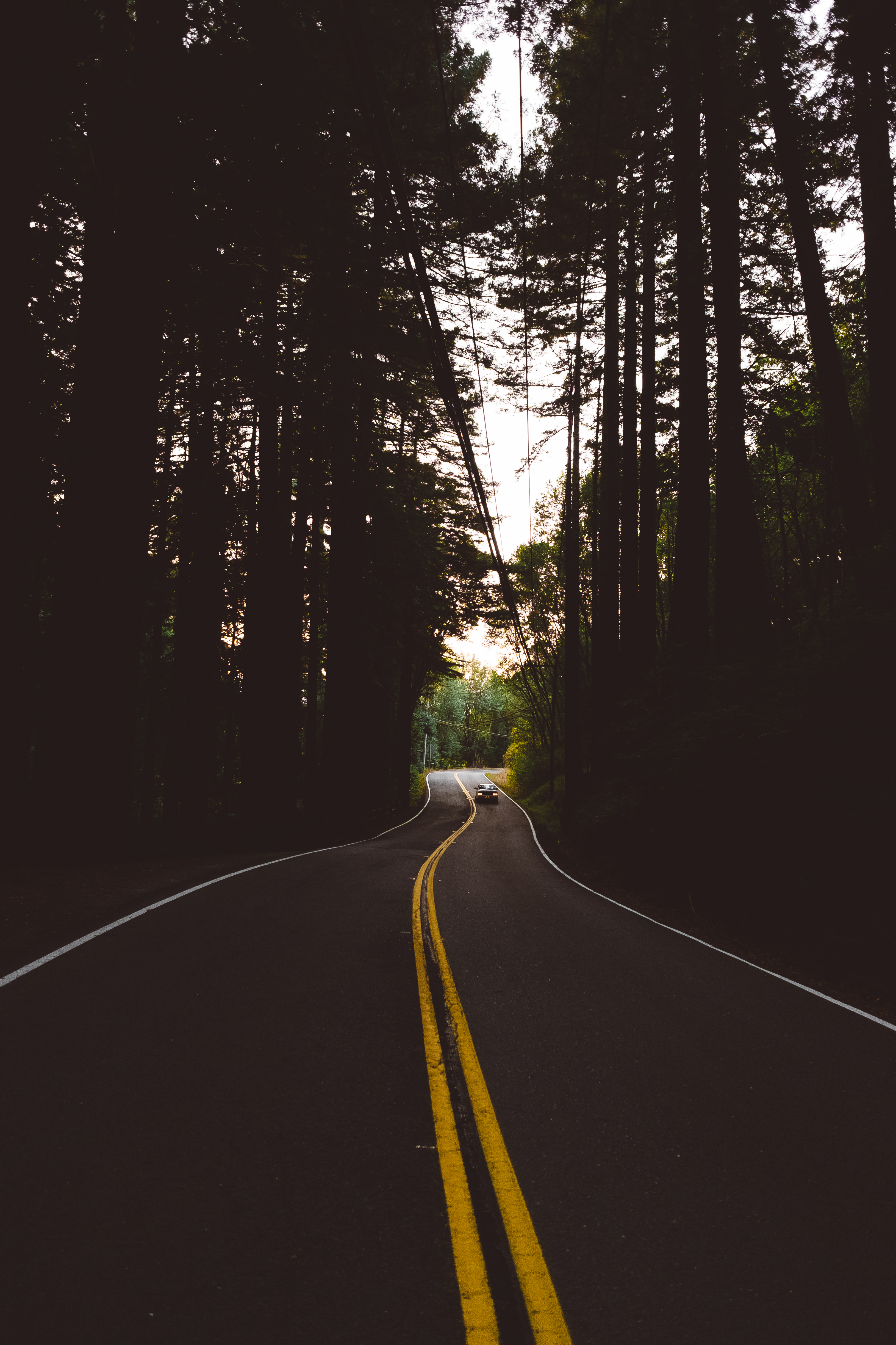 Download mobile wallpaper Markup, Forest, Evening, Trees, Road, Dark, Auto for free.