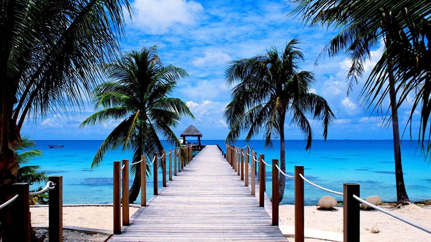 Картинки. Море пляж. Райский пляж. Красивый пляж на рабочий стол. Пальмы и океан.