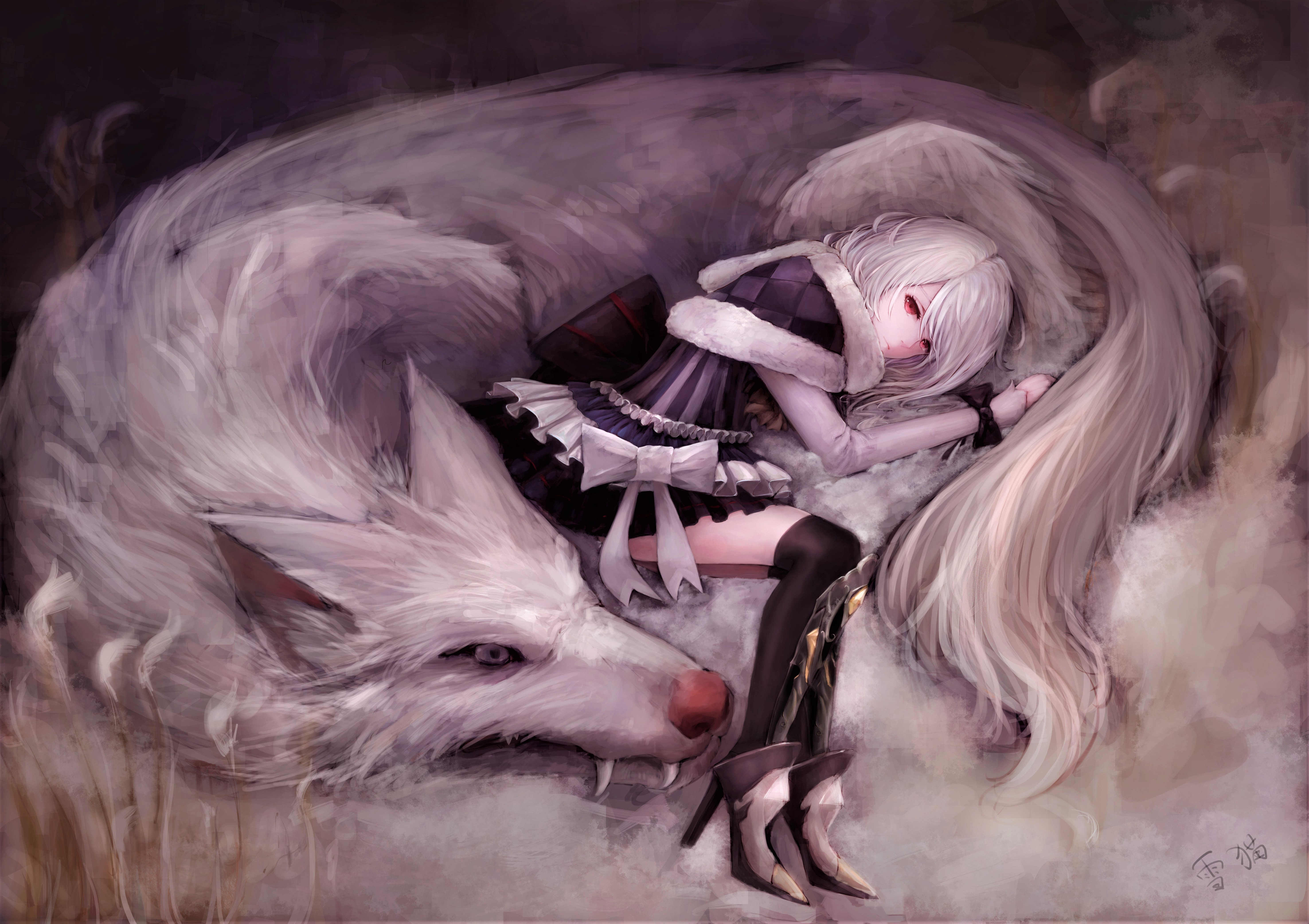 anime, girl, bow (clothing), fangs, resting, white hair, wolf