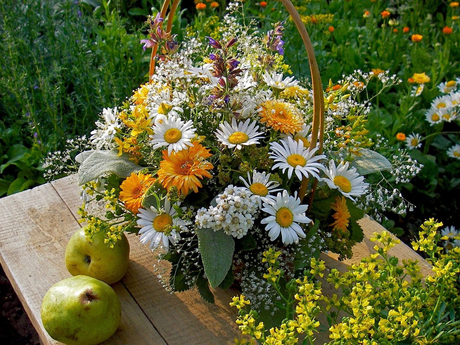 Композиции из садовых цветов на даче