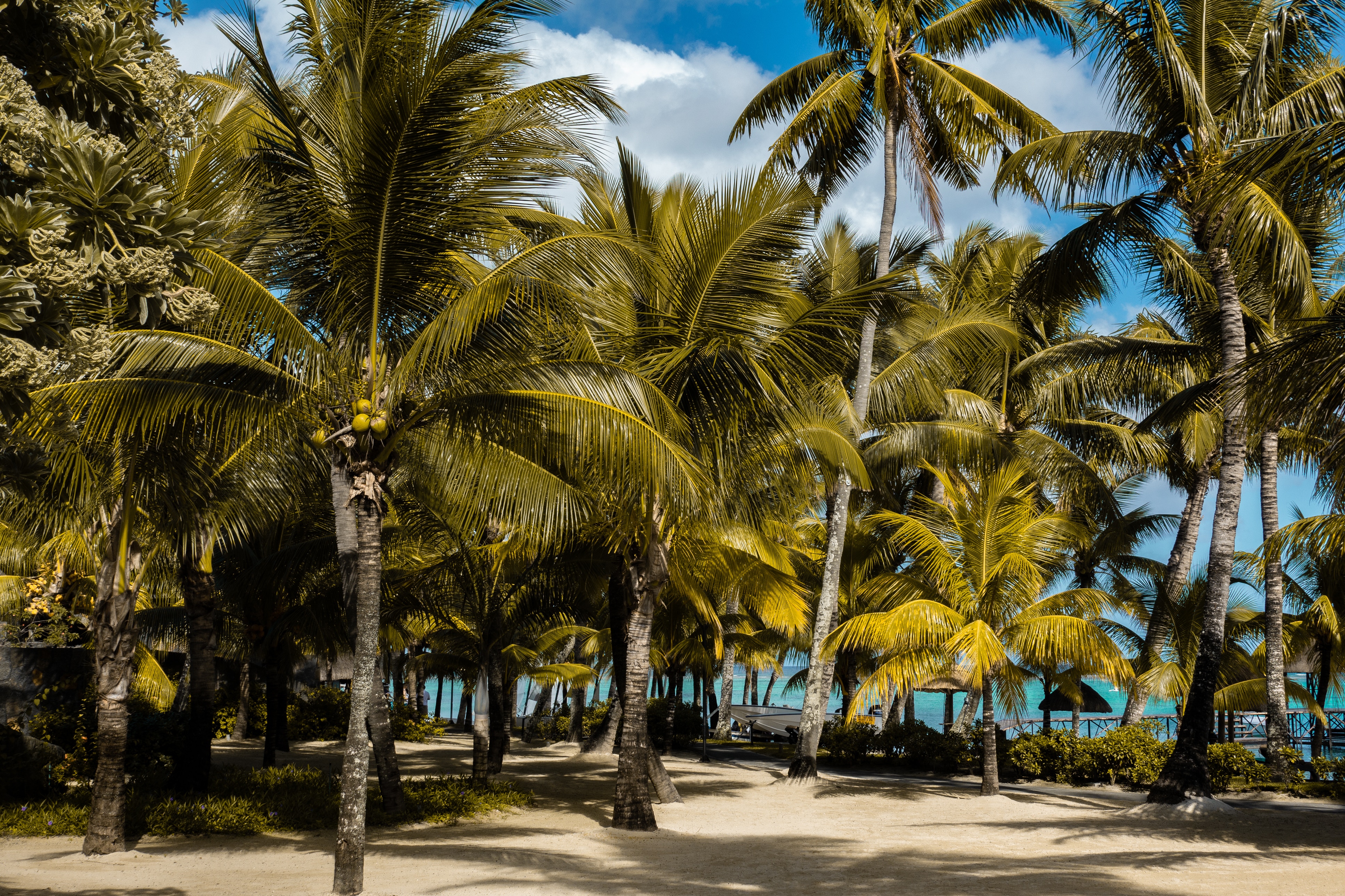 Die besten Mauritius-Hintergründe für den Telefonbildschirm