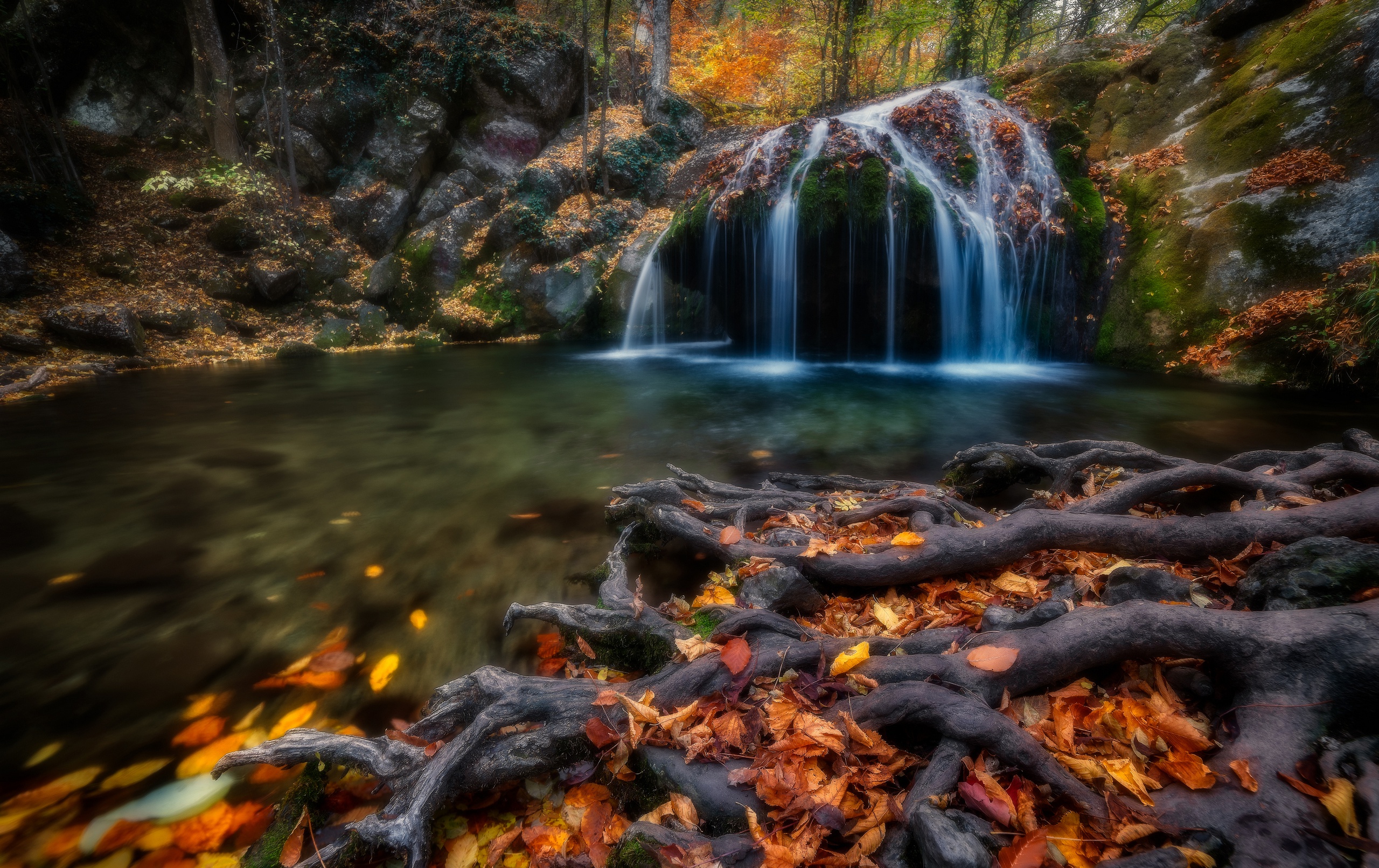 roots, earth, waterfall, fall, leaf, river, russia, waterfalls HD wallpaper