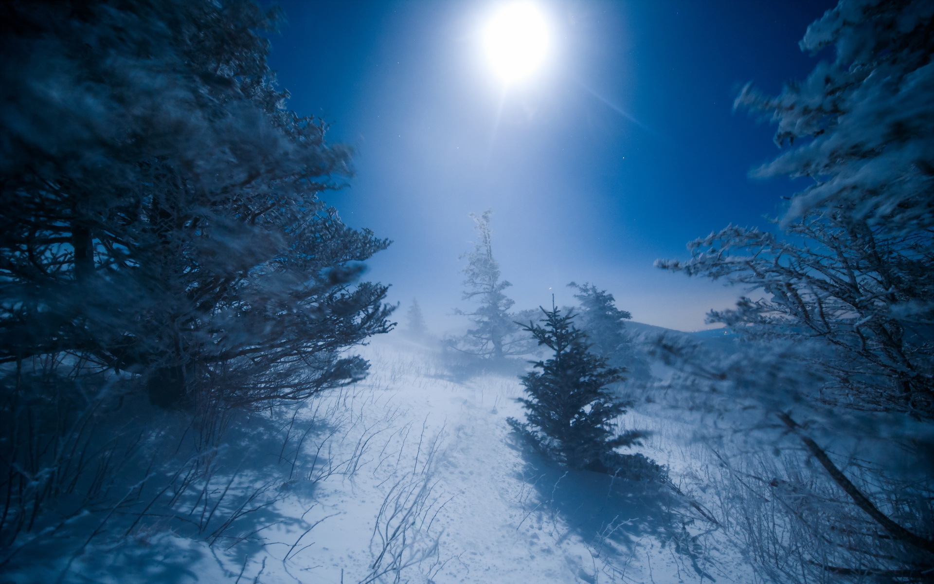 Зимняя ночь. Зима ночь. Зимний лес ночью. Луна зимой. Лунная ночь зимой.