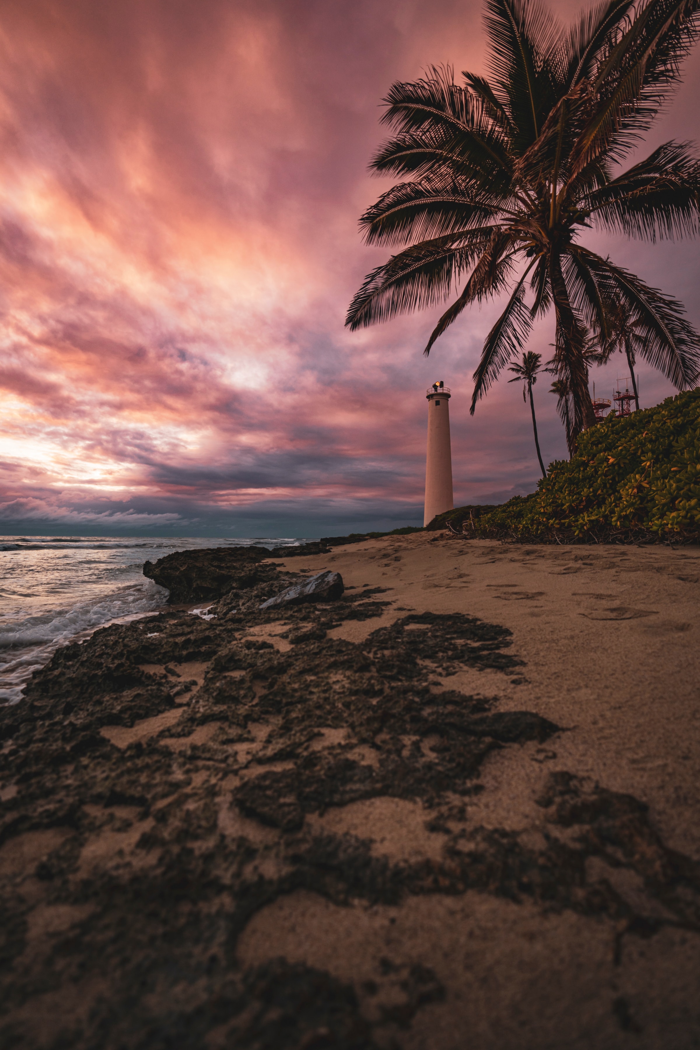 palm, beach, nature, sea, shore, bank, lighthouse High Definition image