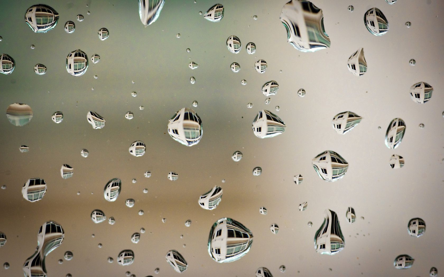water, after the rain, drops, reflection, macro, surface HD wallpaper