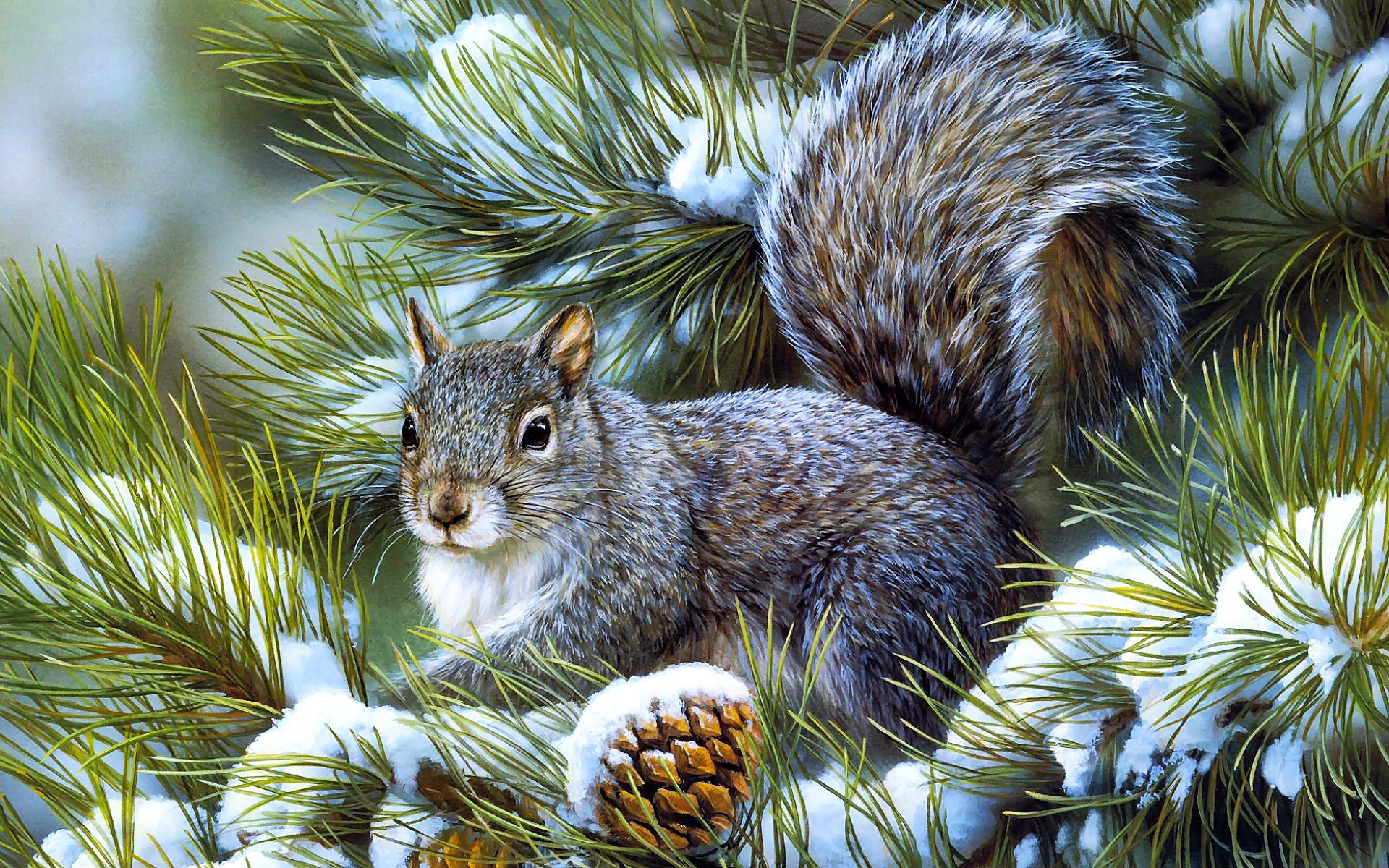 209350 Bild herunterladen tiere, eichhörnchen, malerei, nagetier, winter - Hintergrundbilder und Bildschirmschoner kostenlos