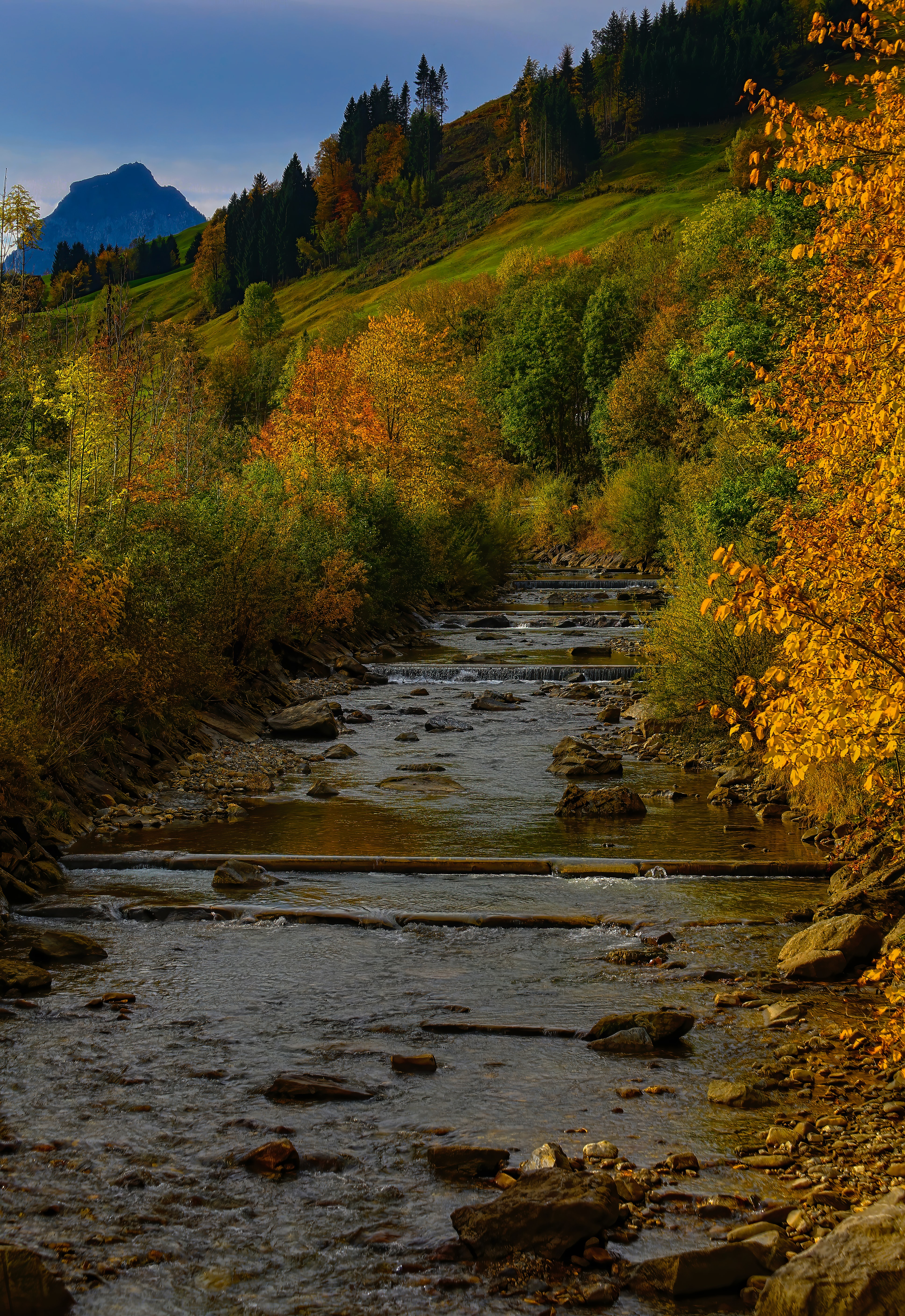 Laden Sie das Natur, Bäume, Fließen, Stream, Flüsse, Herbst-Bild kostenlos auf Ihren PC-Desktop herunter