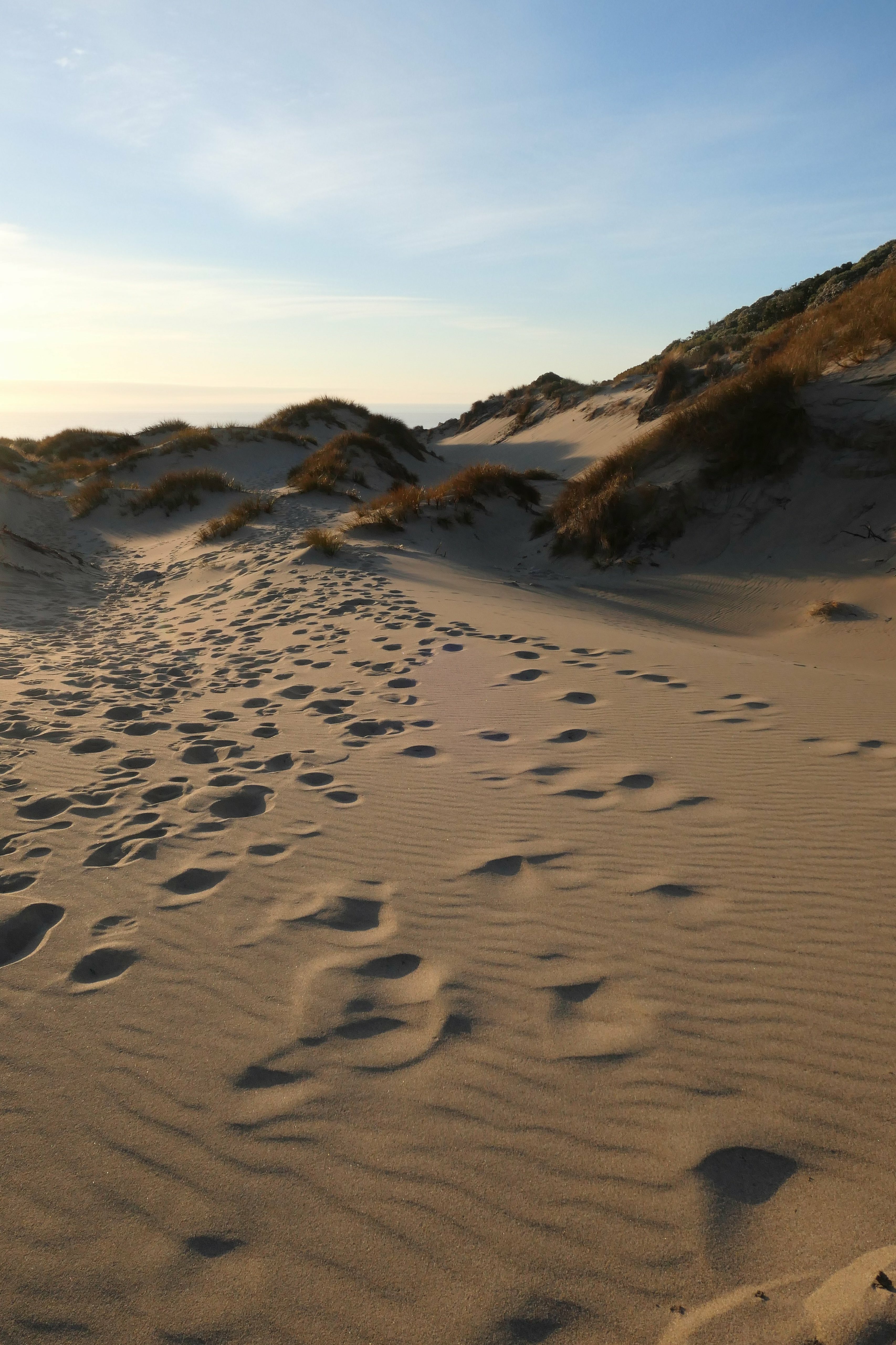 dunes, nature, grass, sand, hill, traces Desktop Wallpaper