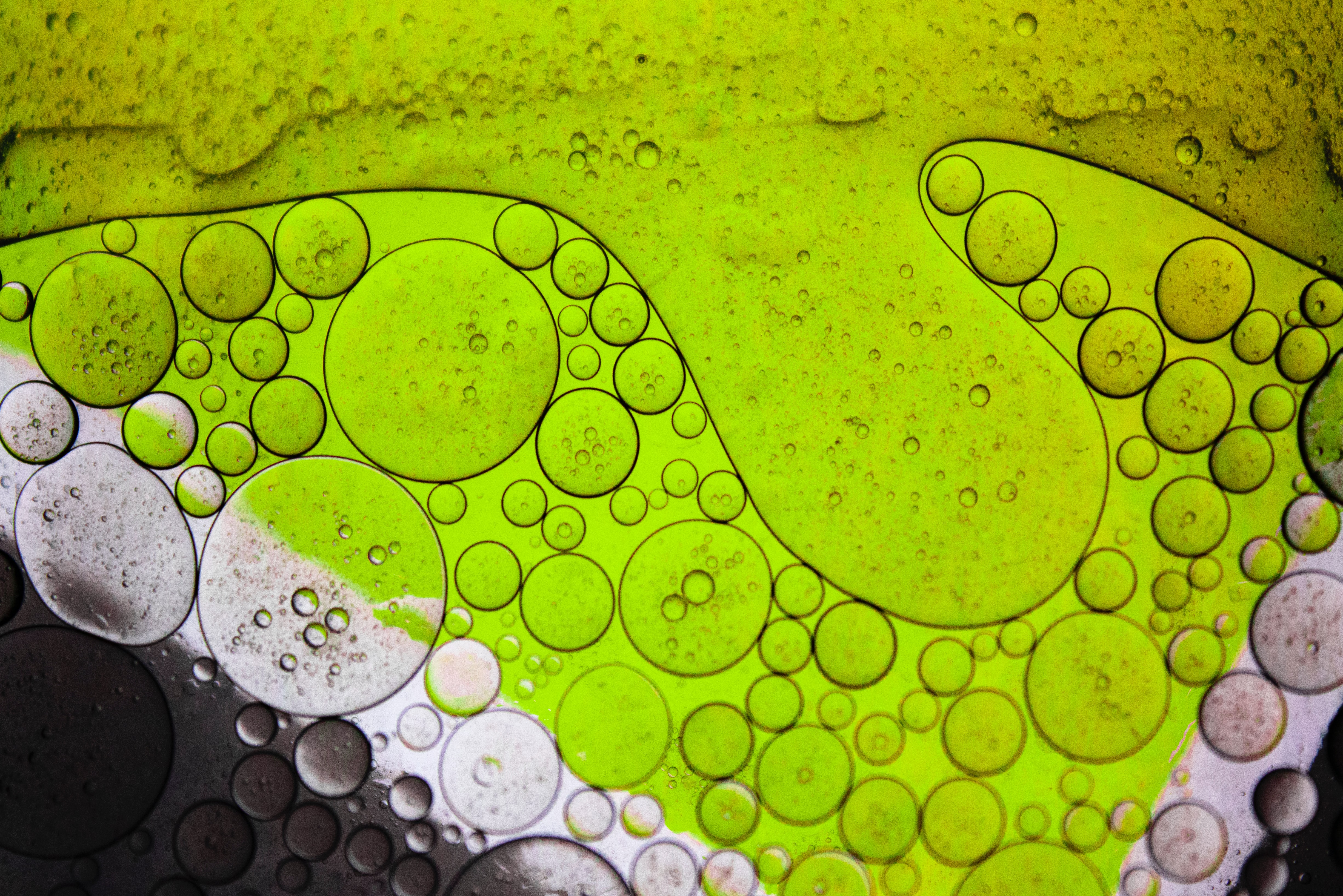 85473 baixar papel de parede bubbles, verde, macro, líquido, manteiga, óleo - protetores de tela e imagens gratuitamente