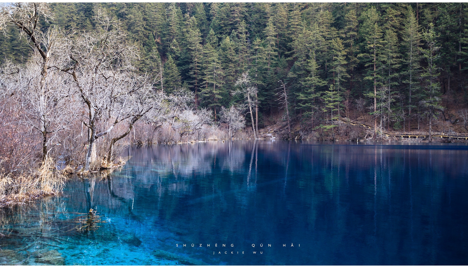 Скачать картинку Голубая Вода, Прозрачная, Берега, Природа, Лес, Озеро в телефон бесплатно.