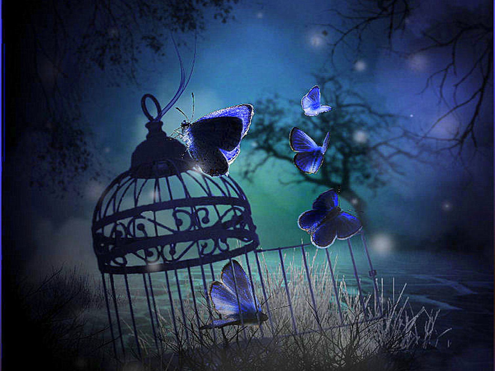butterfly, artistic, blue, cage HD wallpaper