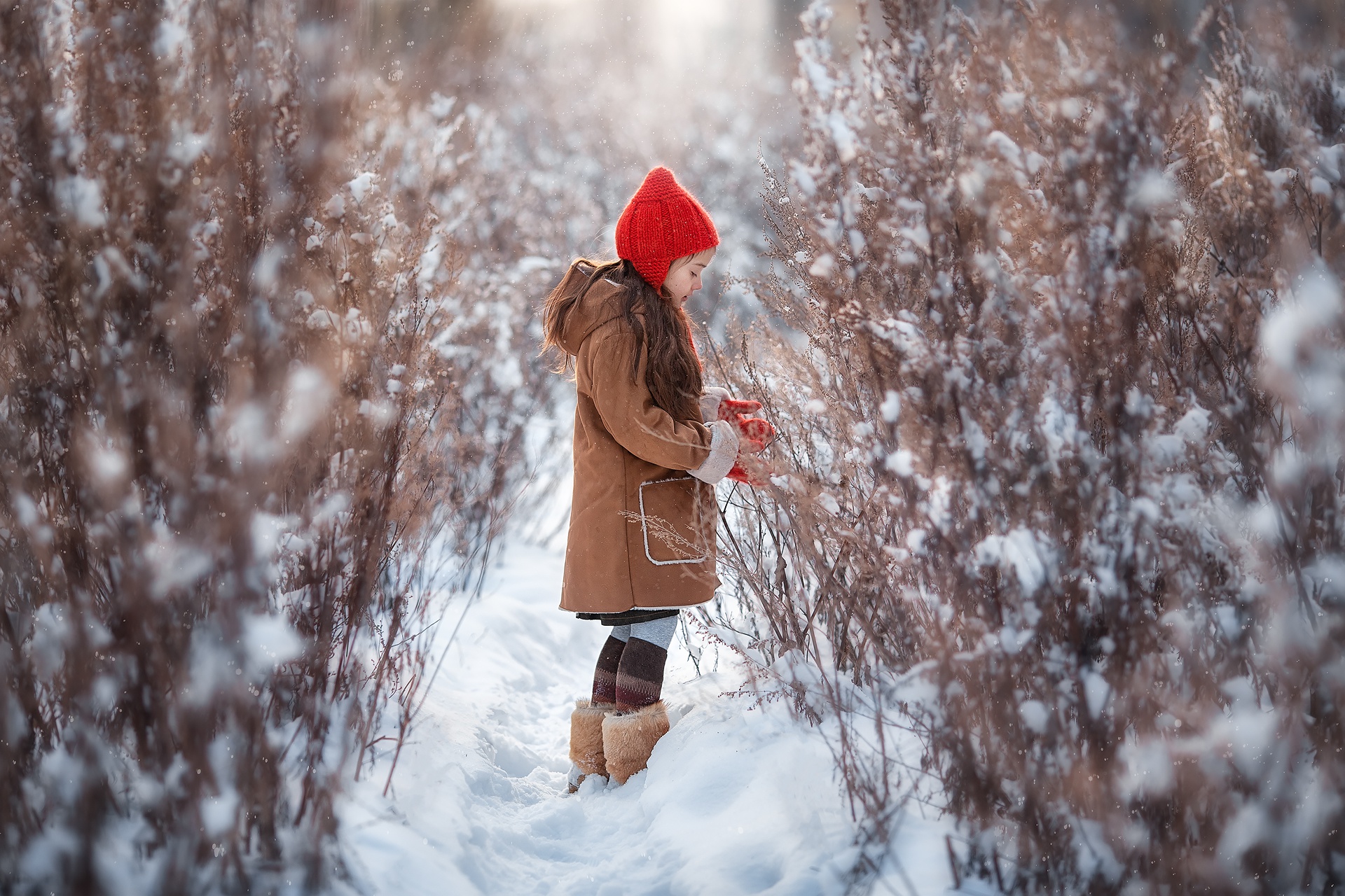 Красивые девушки природе на прогулке зимой