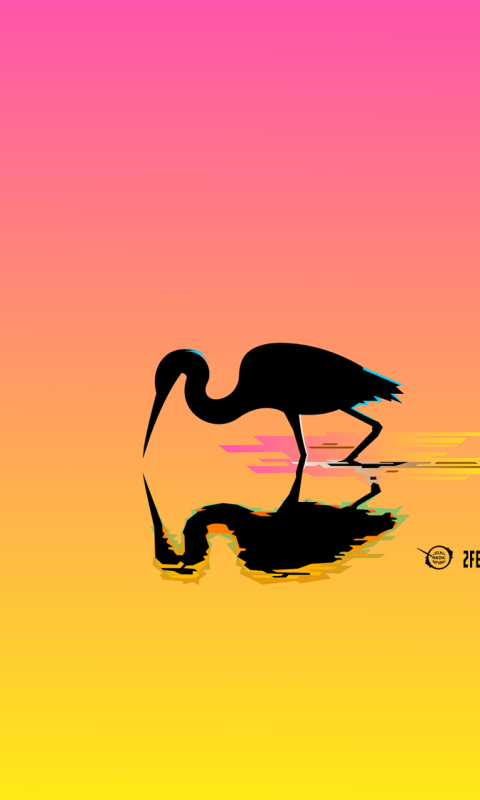 animal, ibis, reflection, bird, water, colorful, minimalist, birds