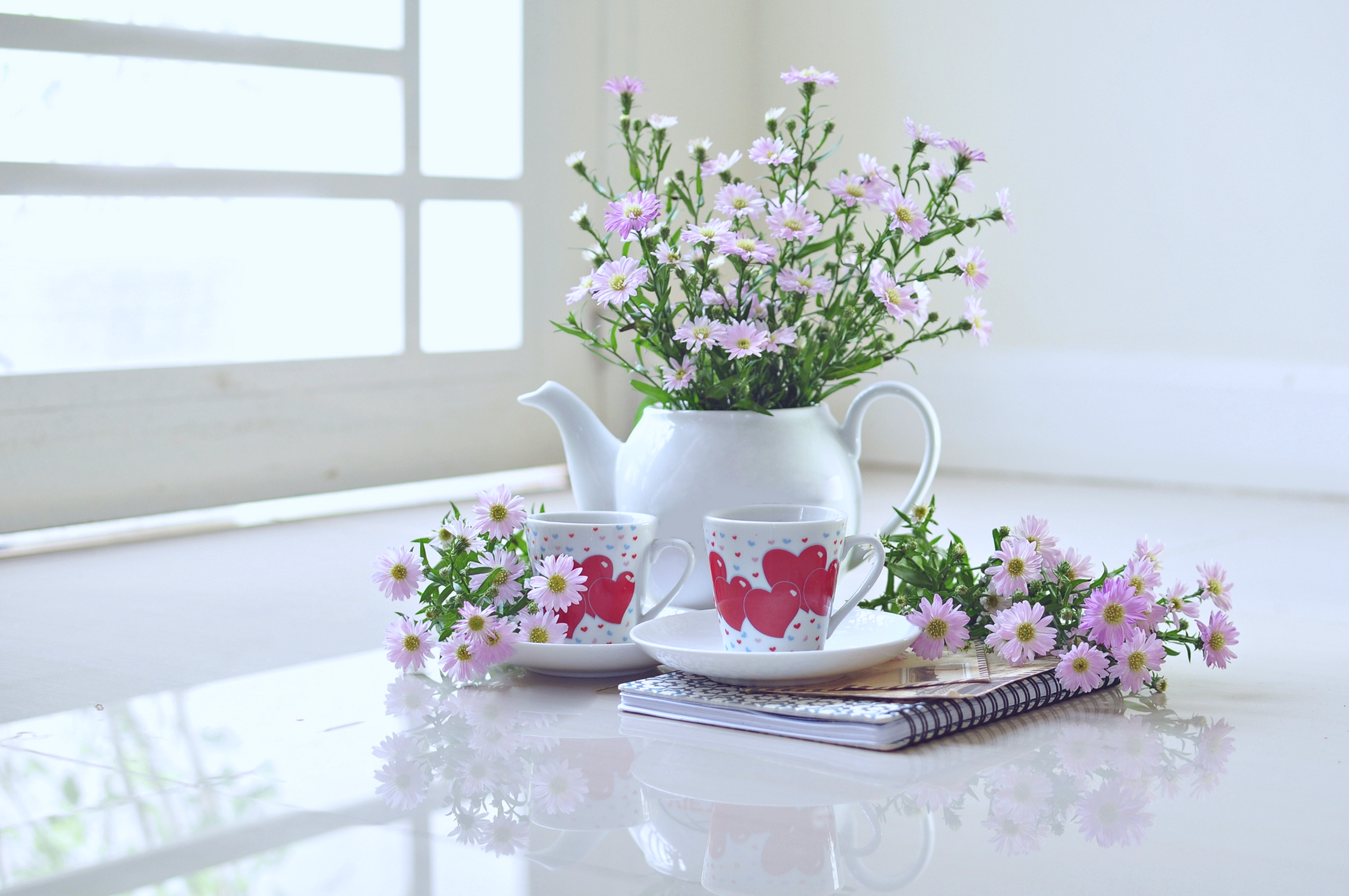 vase, photography, still life, cup, flower High Definition image