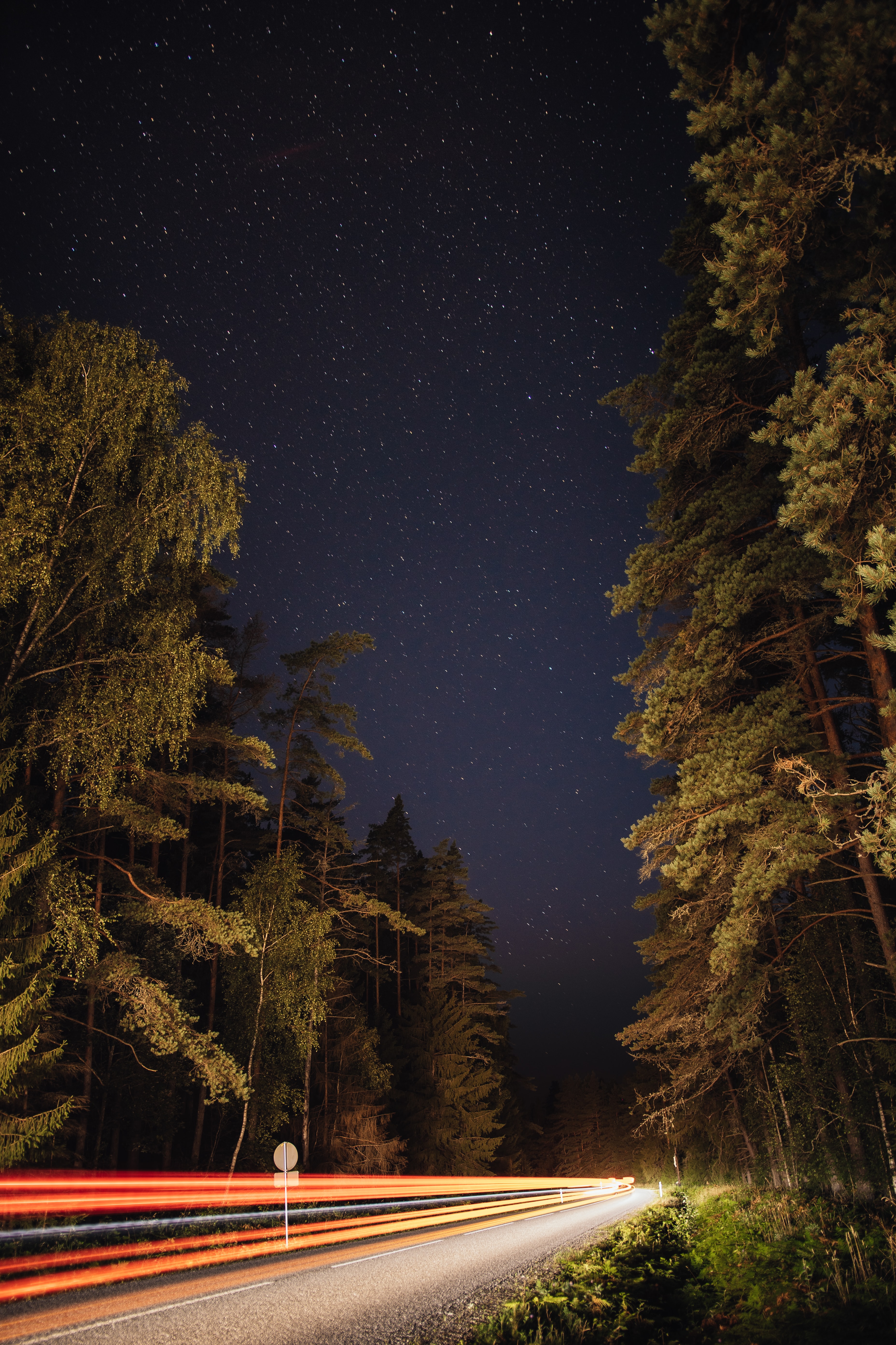 Download mobile wallpaper Stars, Trees, Road, Night, Nature, Glow, Lines for free.