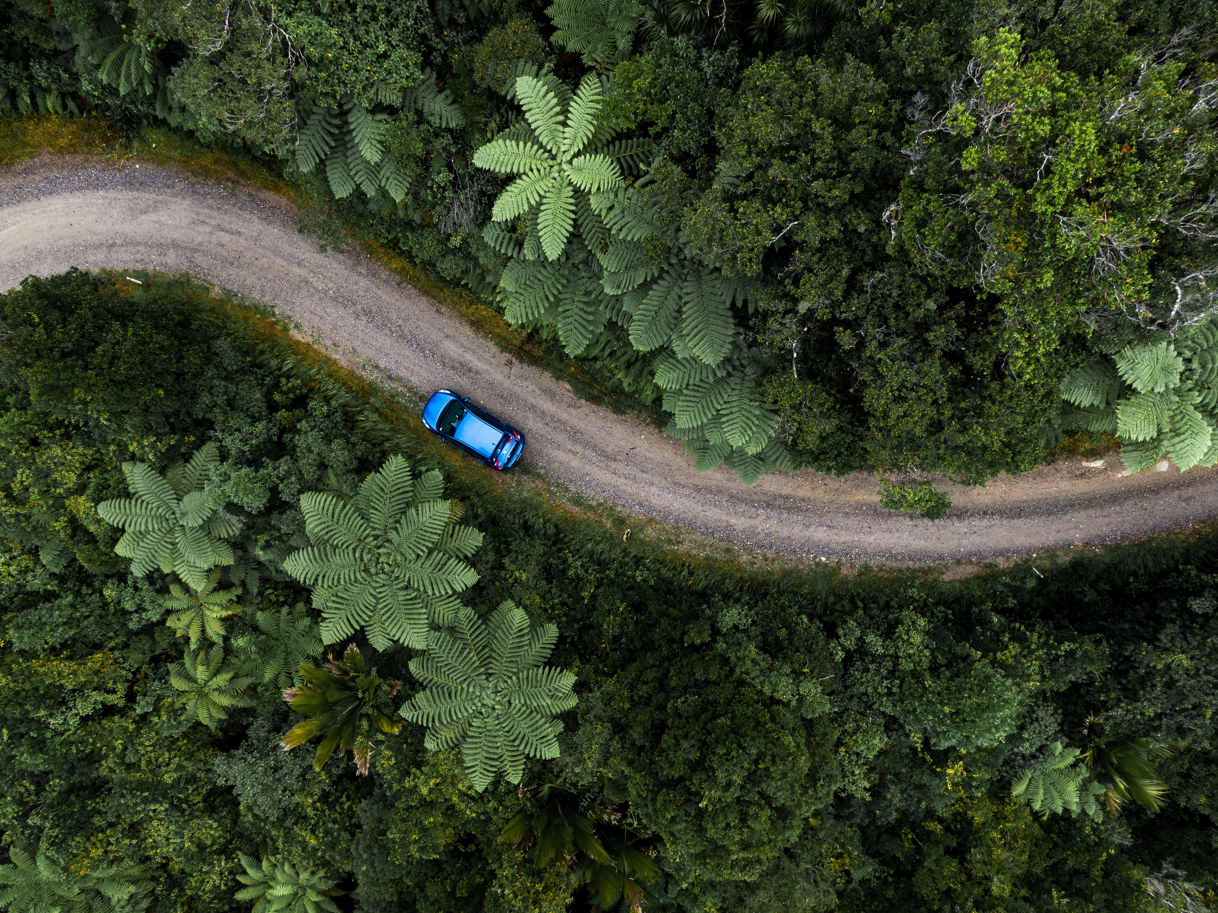 Free download wallpaper Nature, View From Above, Road, Machine, Palms, Car on your PC desktop