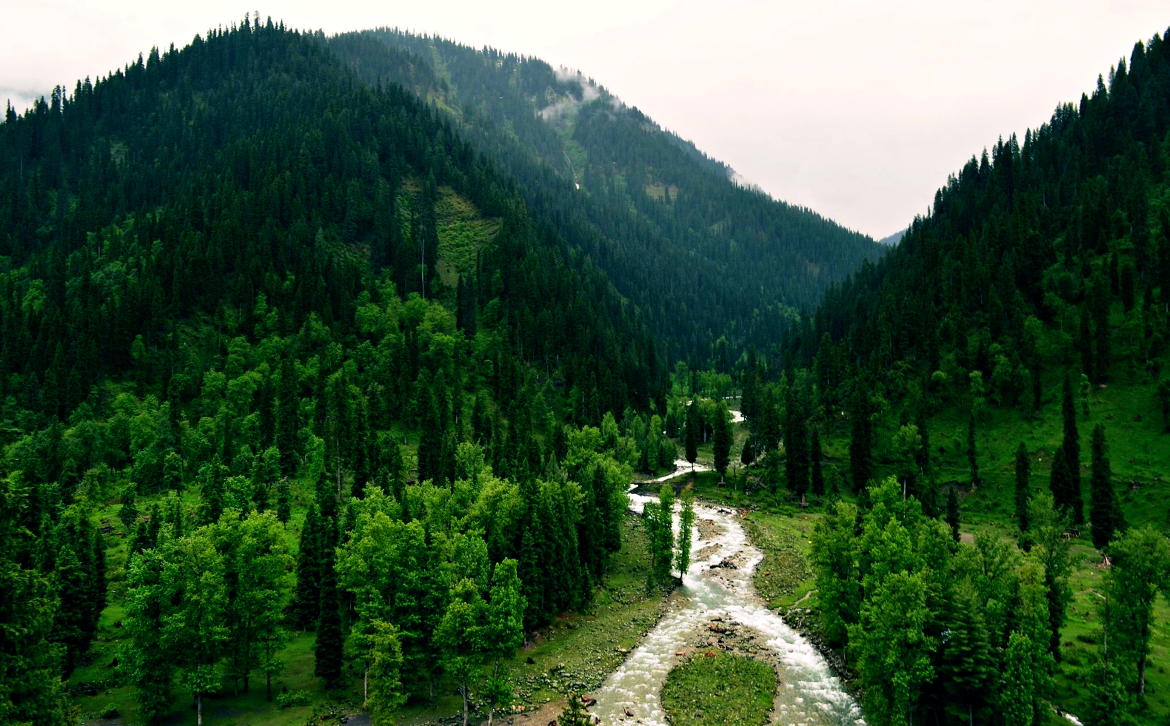688550 скачать обои природа, лес, пакистан, земля/природа, кашмир, ландшафт, река, тао батт, дерево - заставки и картинки бесплатно