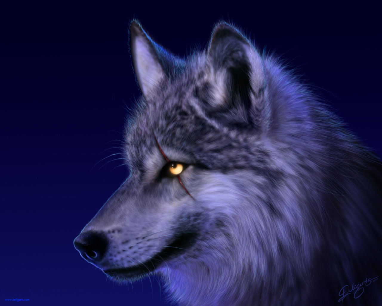 wolfs, animals, blue