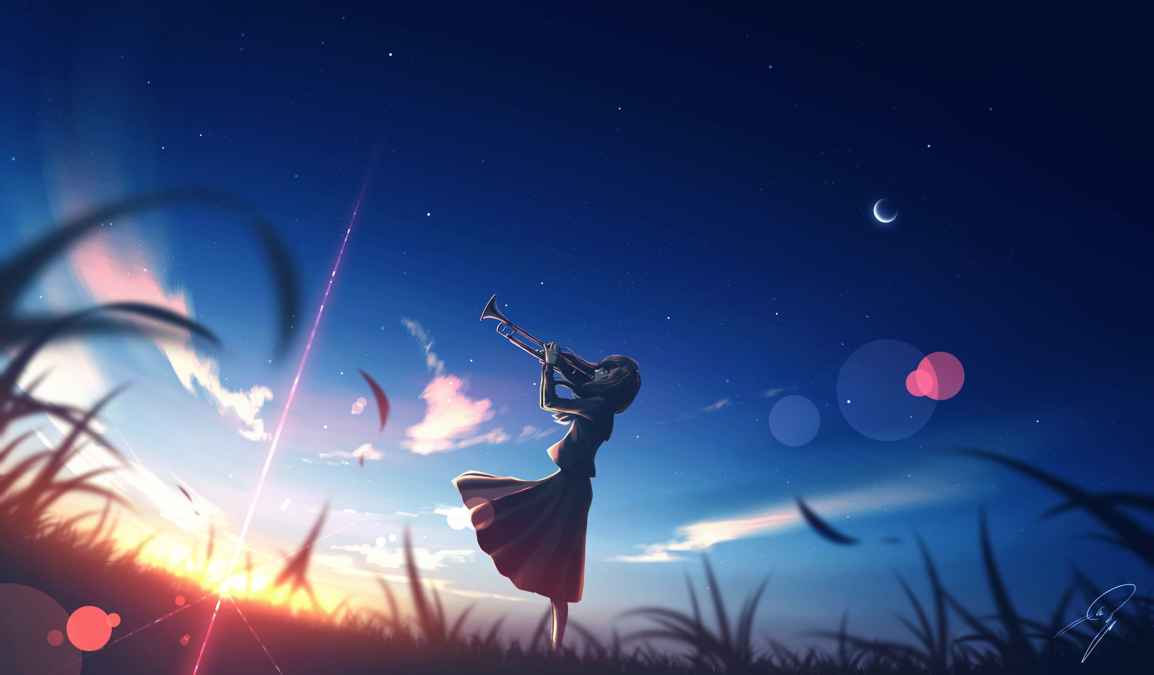 trumpet, anime, music, long hair, sky, starry sky, sunset