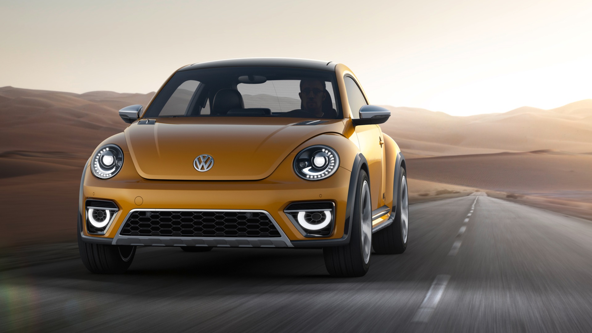 VW New Beetle 2014