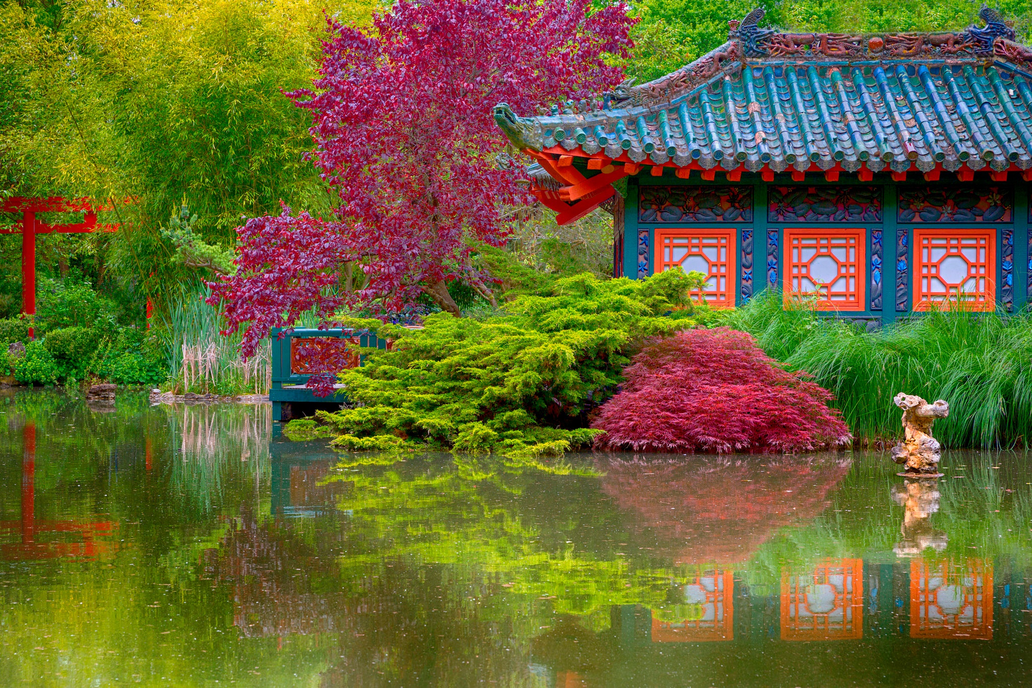 man made, japanese garden, colorful, lodge, pond, tree HD wallpaper