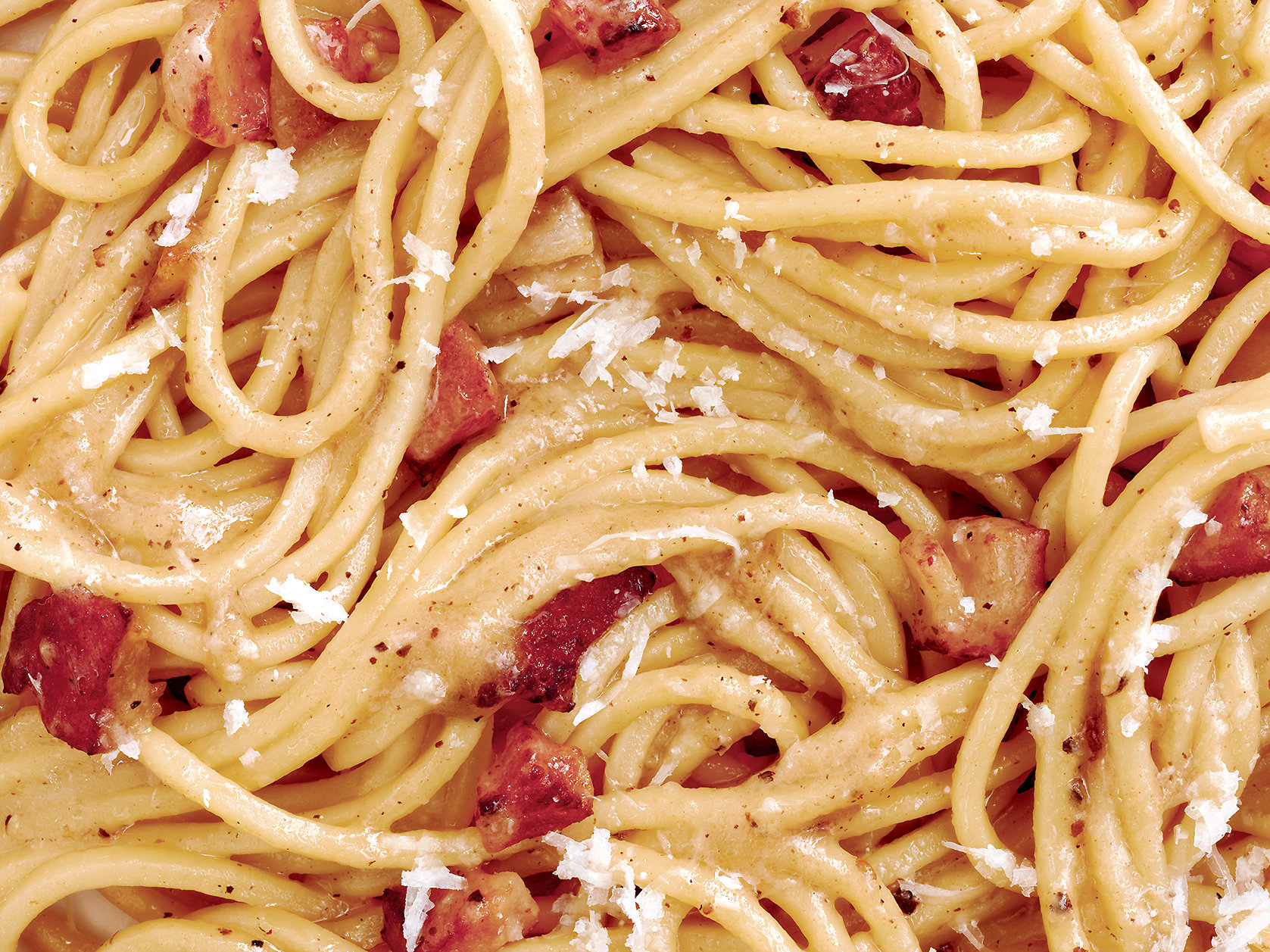 food, spaghetti Free Stock Photo