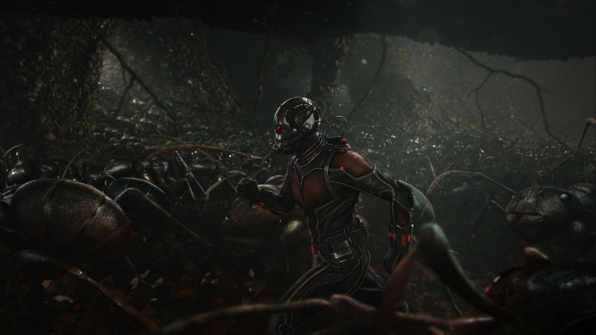 Ant man black