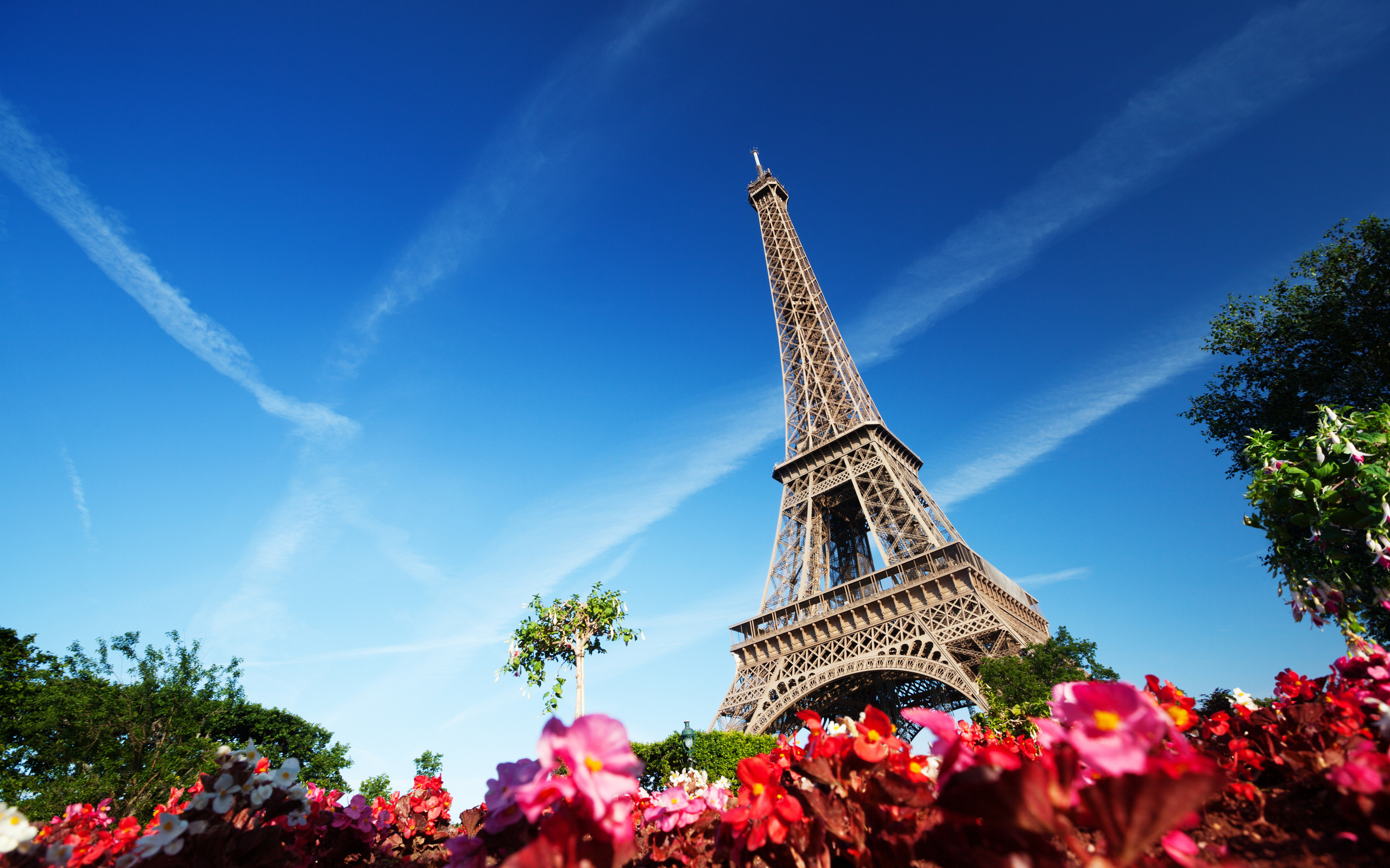 277143 Salvapantallas y fondos de pantalla Torre Eiffel en tu teléfono. Descarga imágenes de  gratis
