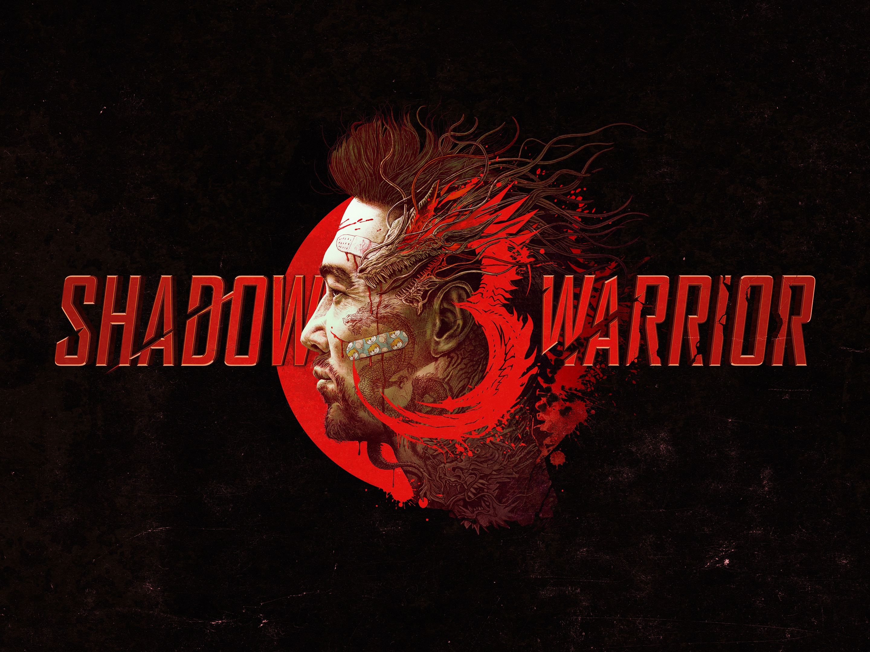 Shadow warrior купить. Shadow Warrior. Shadow Warrior 3. Shadow Warrior (игра, 2013).