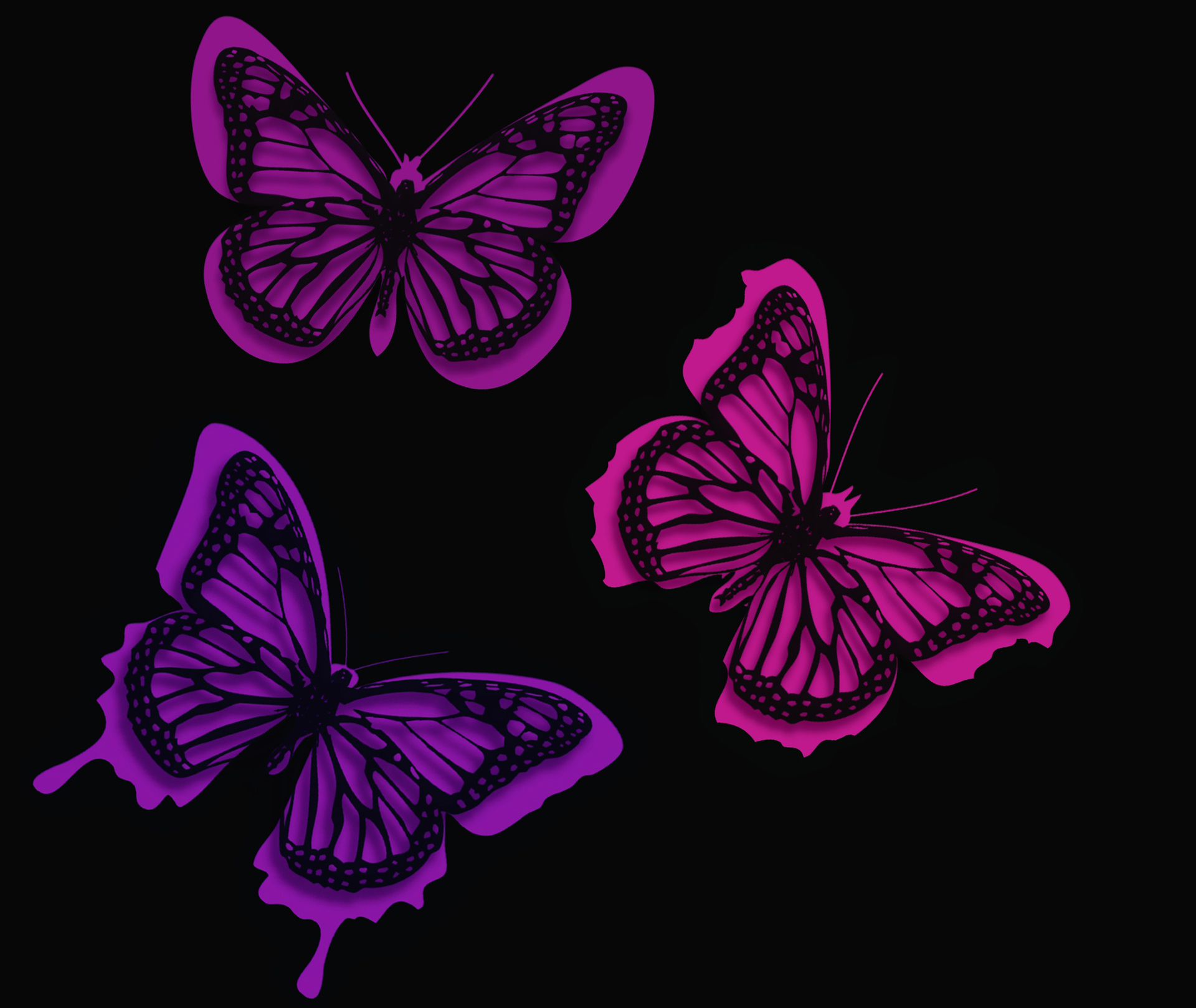 Wallpaper Butterflyes Thrasher Sfondi Farfalle In 2020  Butterfly wallpaper  iphone Purple wallpaper iphone Purple butterfly wallpaper