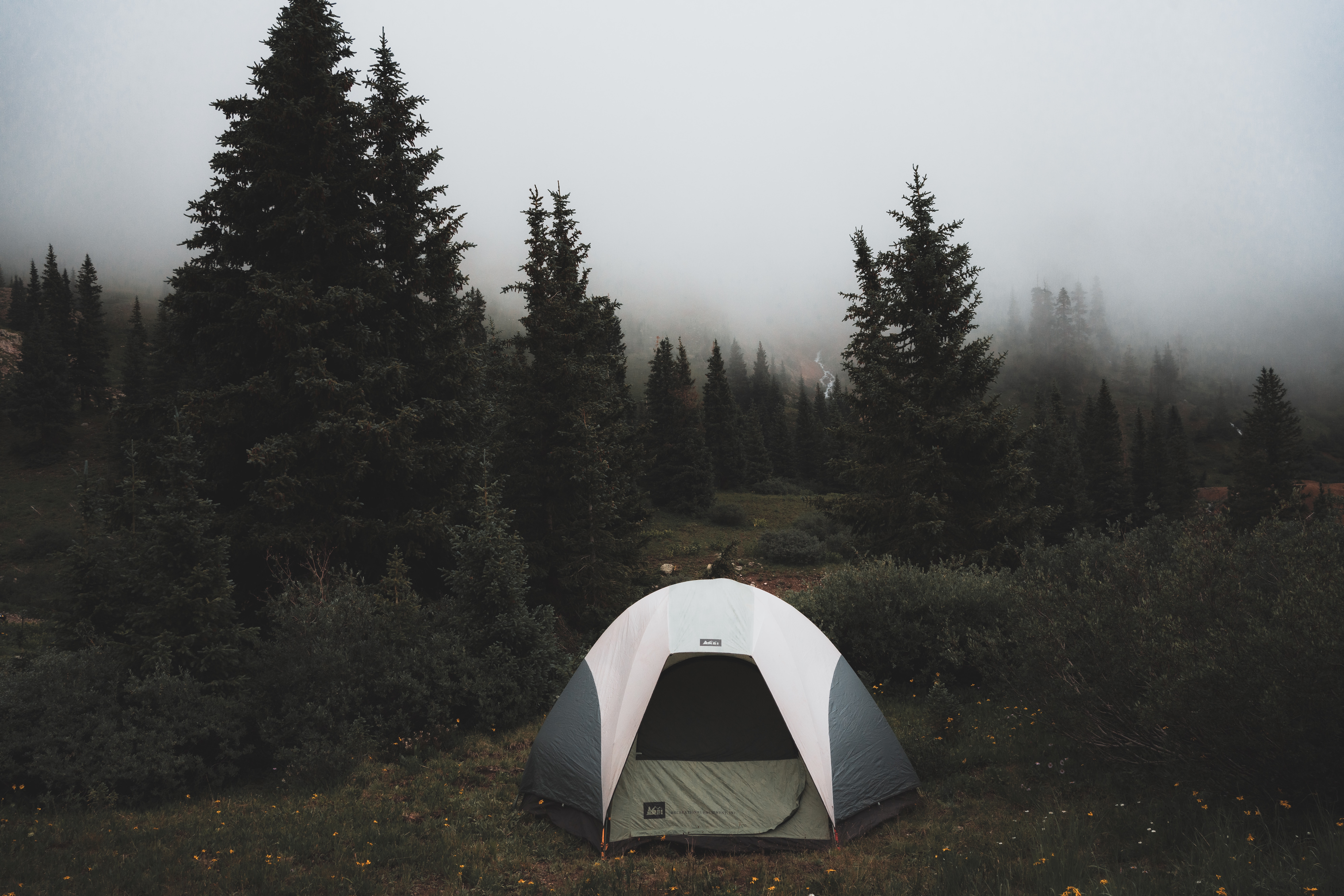Laden Sie das Natur, Bäume, Nebel, Zelt, Wanderung, Kampagne-Bild kostenlos auf Ihren PC-Desktop herunter
