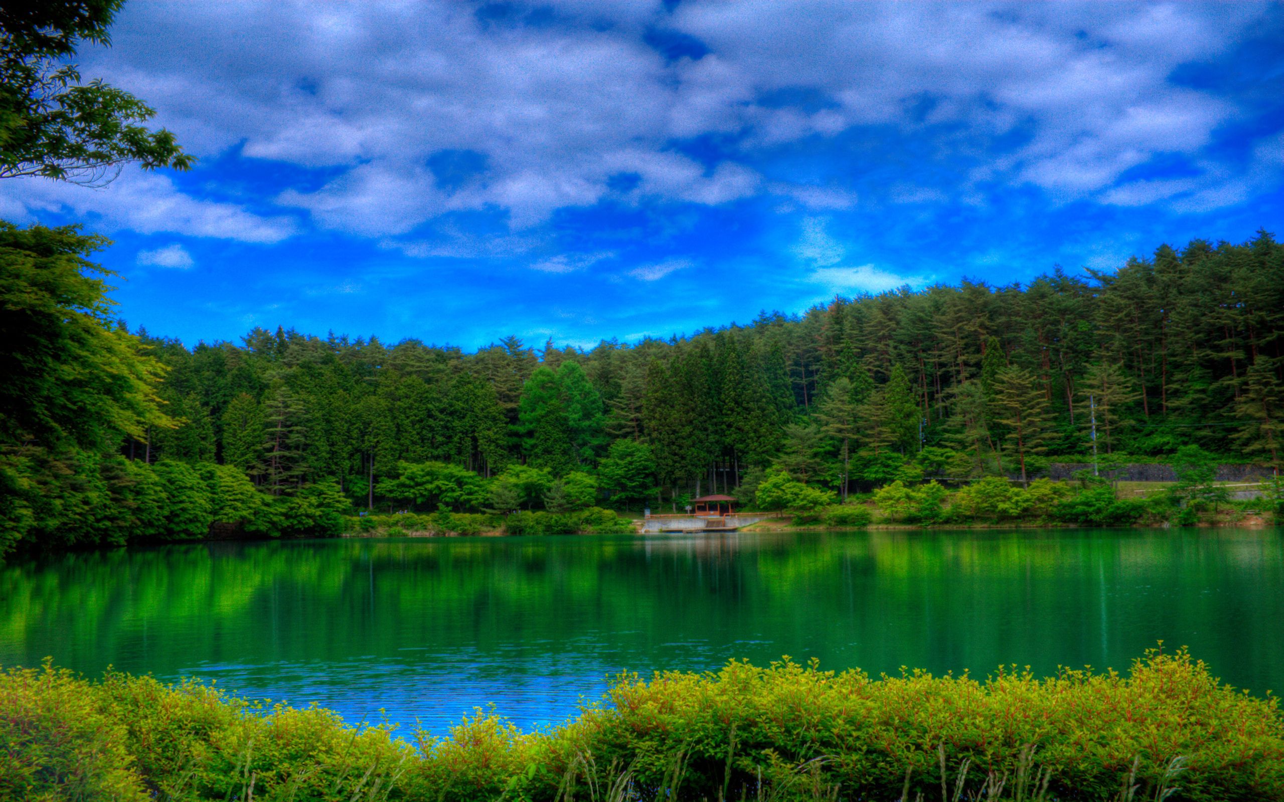 green, nature, lake, colors, color, picturesque HD wallpaper