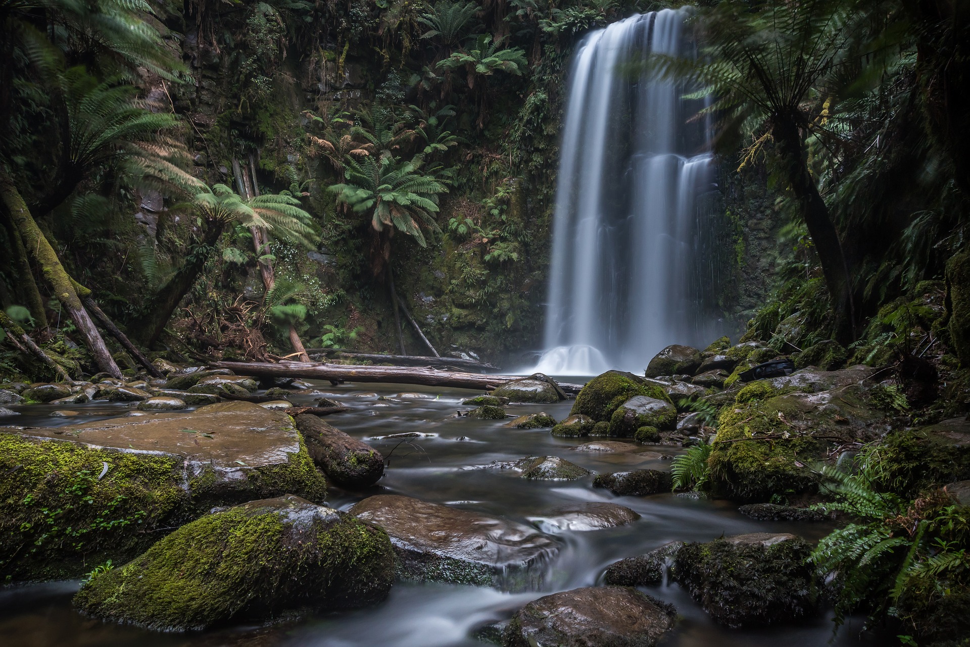 earth, waterfall, fern, log, moss, nature, stream, waterfalls Smartphone Background
