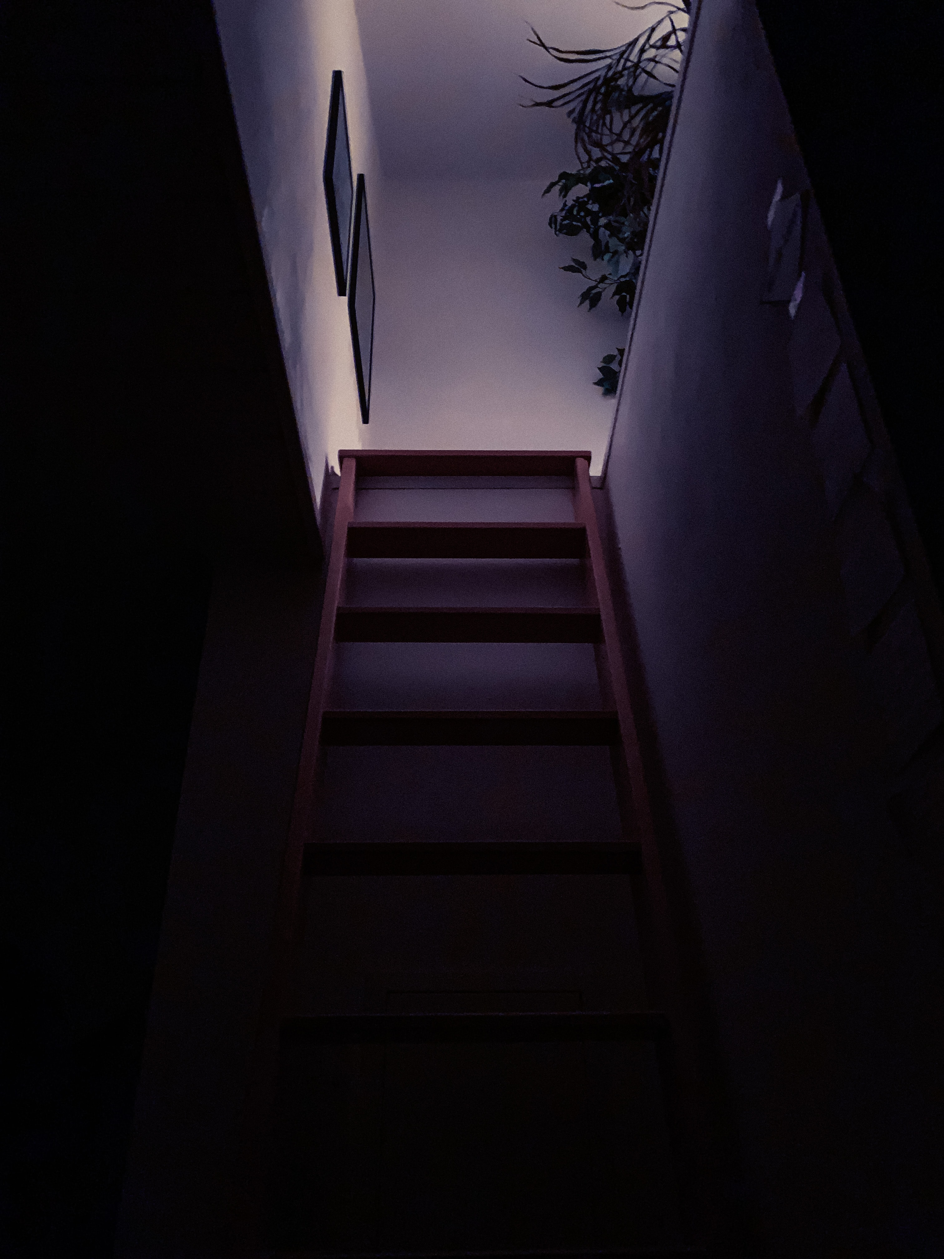 126943 скачать обои темные, темный, лестница, ступени, комната - заставки и картинки бесплатно
