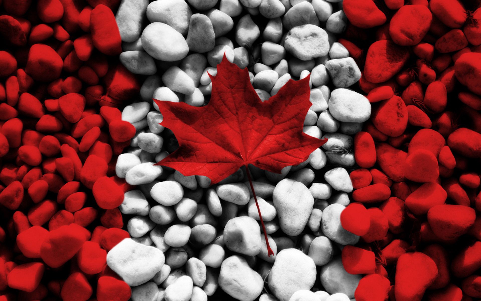 144633 Hintergrundbild herunterladen stones, blatt, kanada, verschiedenes, sonstige, flagge, flag - Bildschirmschoner und Bilder kostenlos