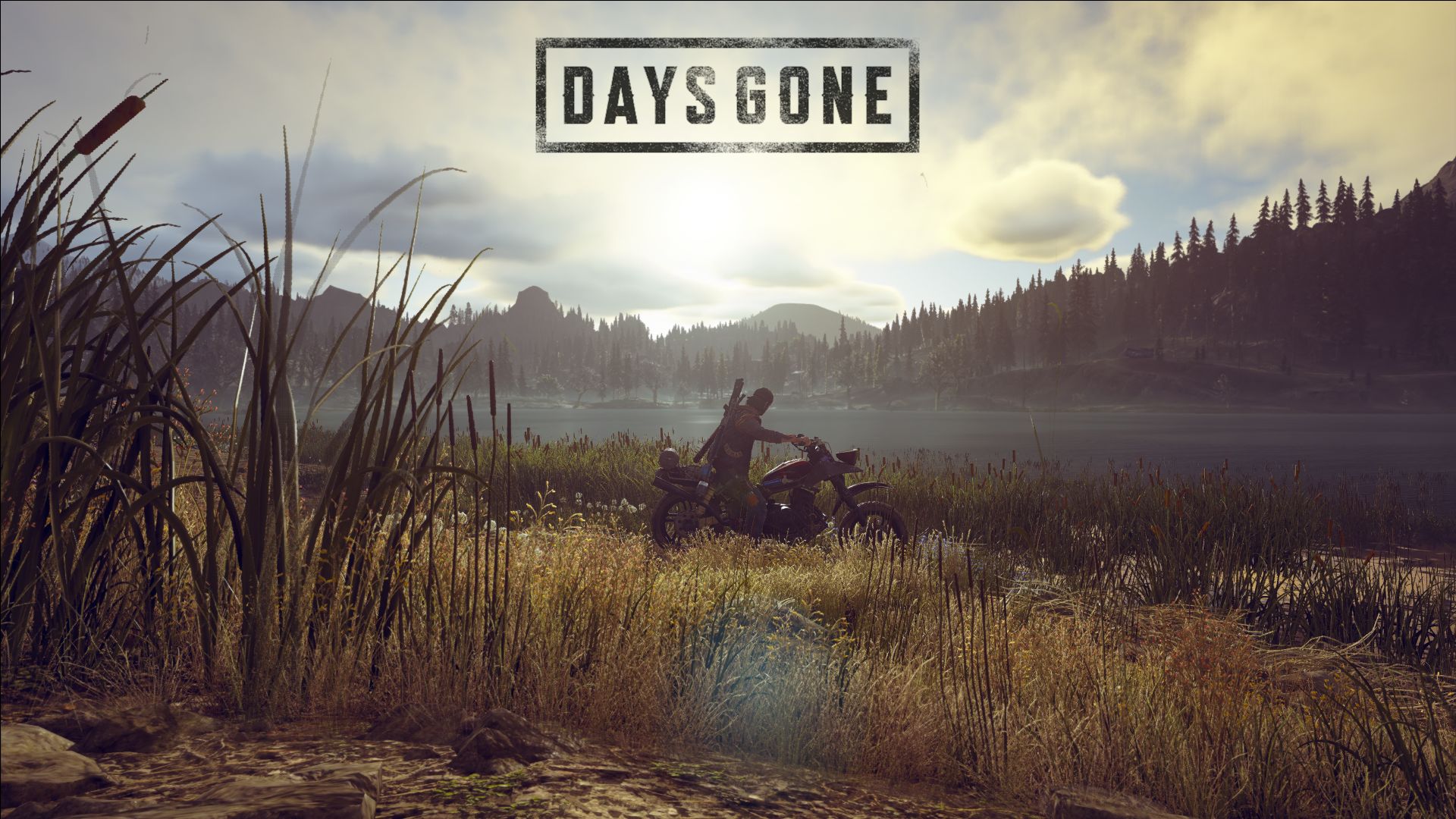 Days Gone Movie Is Coming Developer Doesnt Like Main  EarlyGame