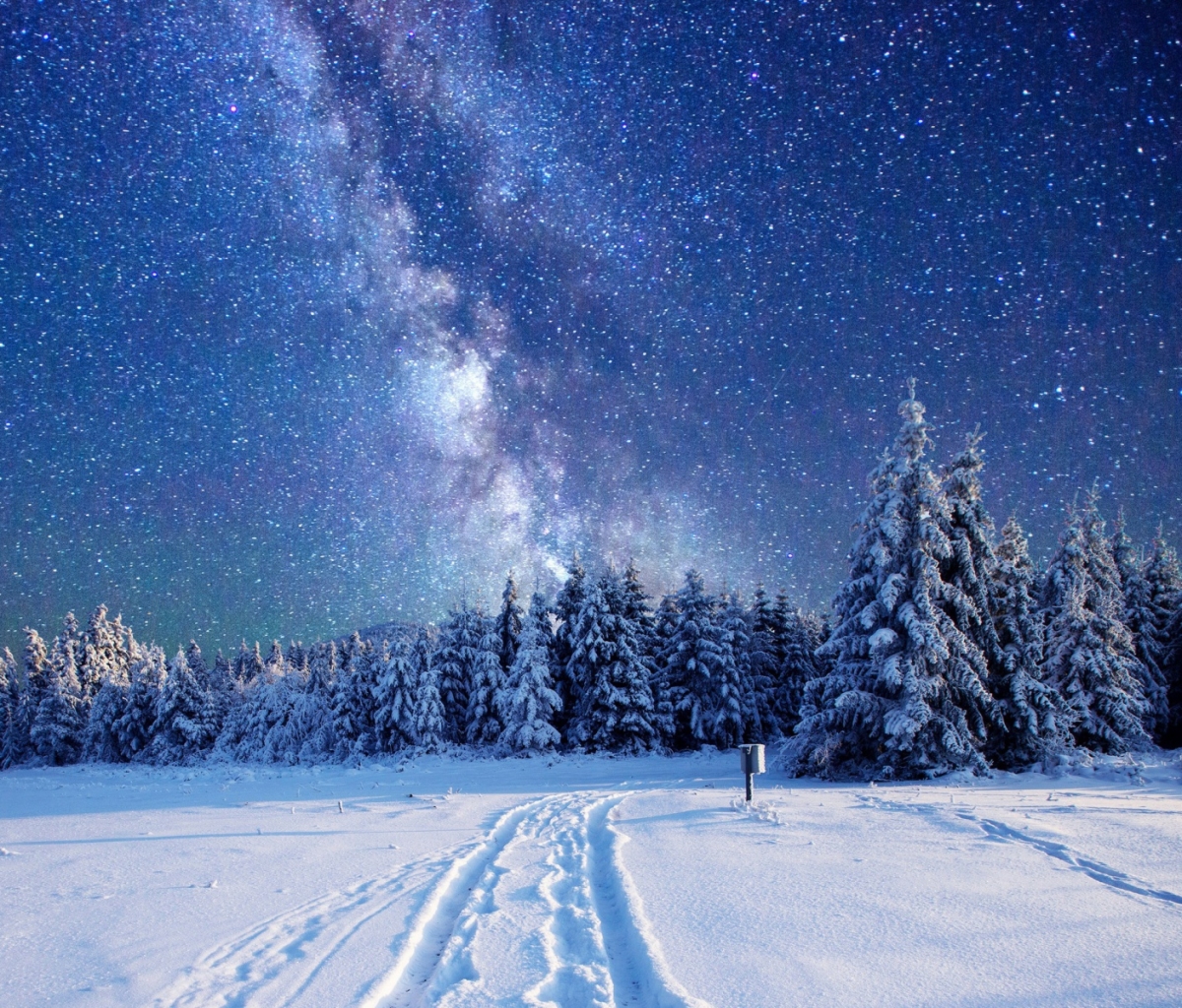 Скачати мобільні шпалери Зима, Небо, Ніч, Ліс, Зоряне Небо, Земля, Чумацький Шлях безкоштовно.