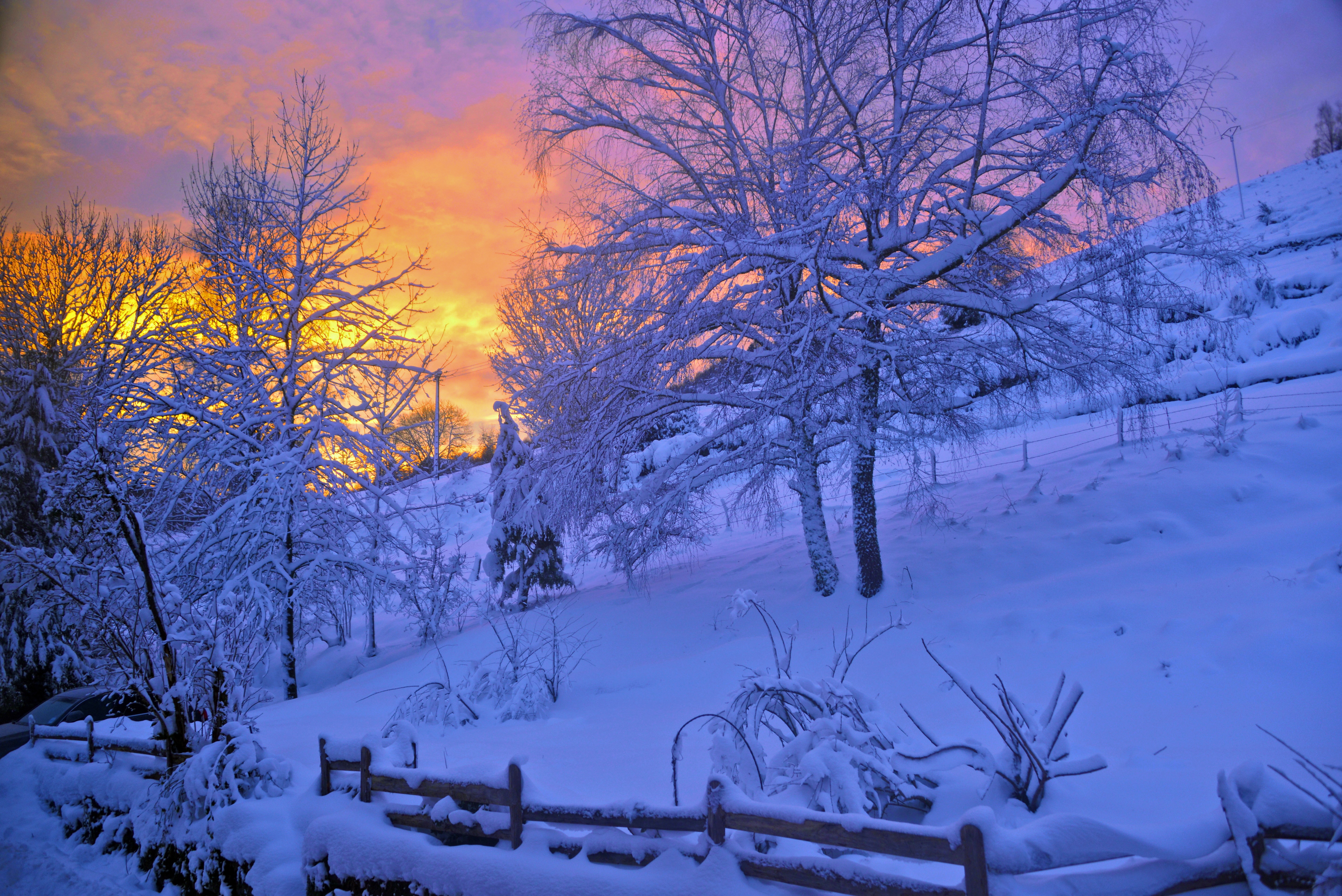158009 Hintergrundbild herunterladen winter, schnee, natur, bäume, sunset, sky, zaun - Bildschirmschoner und Bilder kostenlos