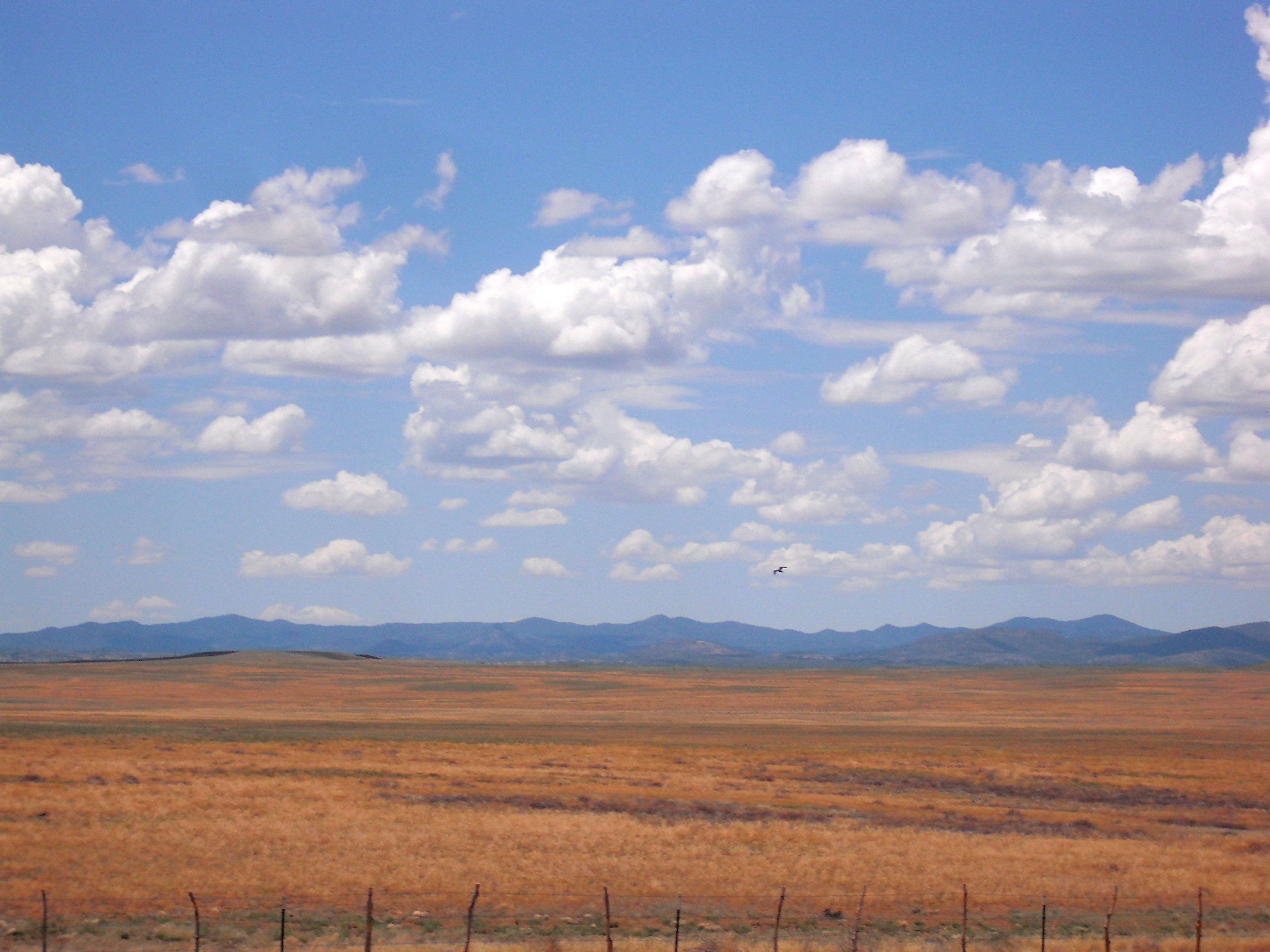 scenery, earth, landscape, arizona