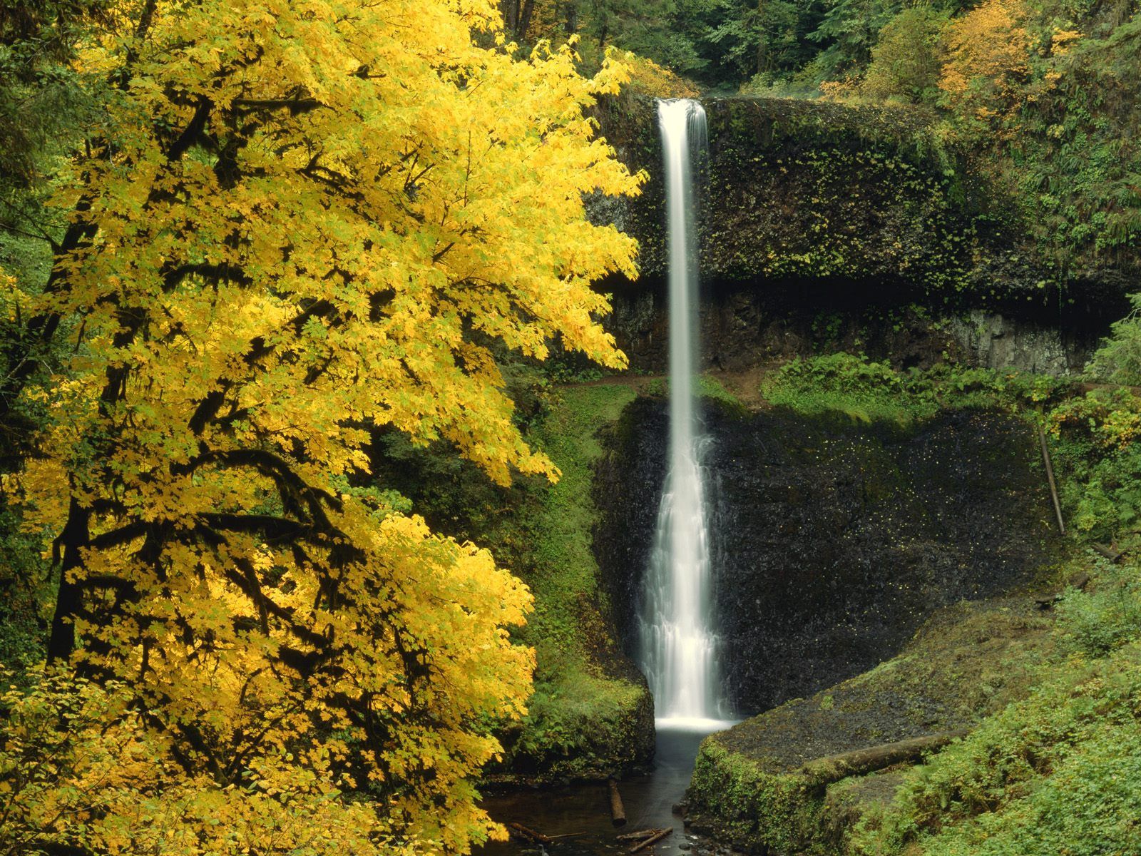 Handy-Wallpaper Flüsse, Fließen, Natur, Fluss, Wasserfall, Herbst kostenlos herunterladen.