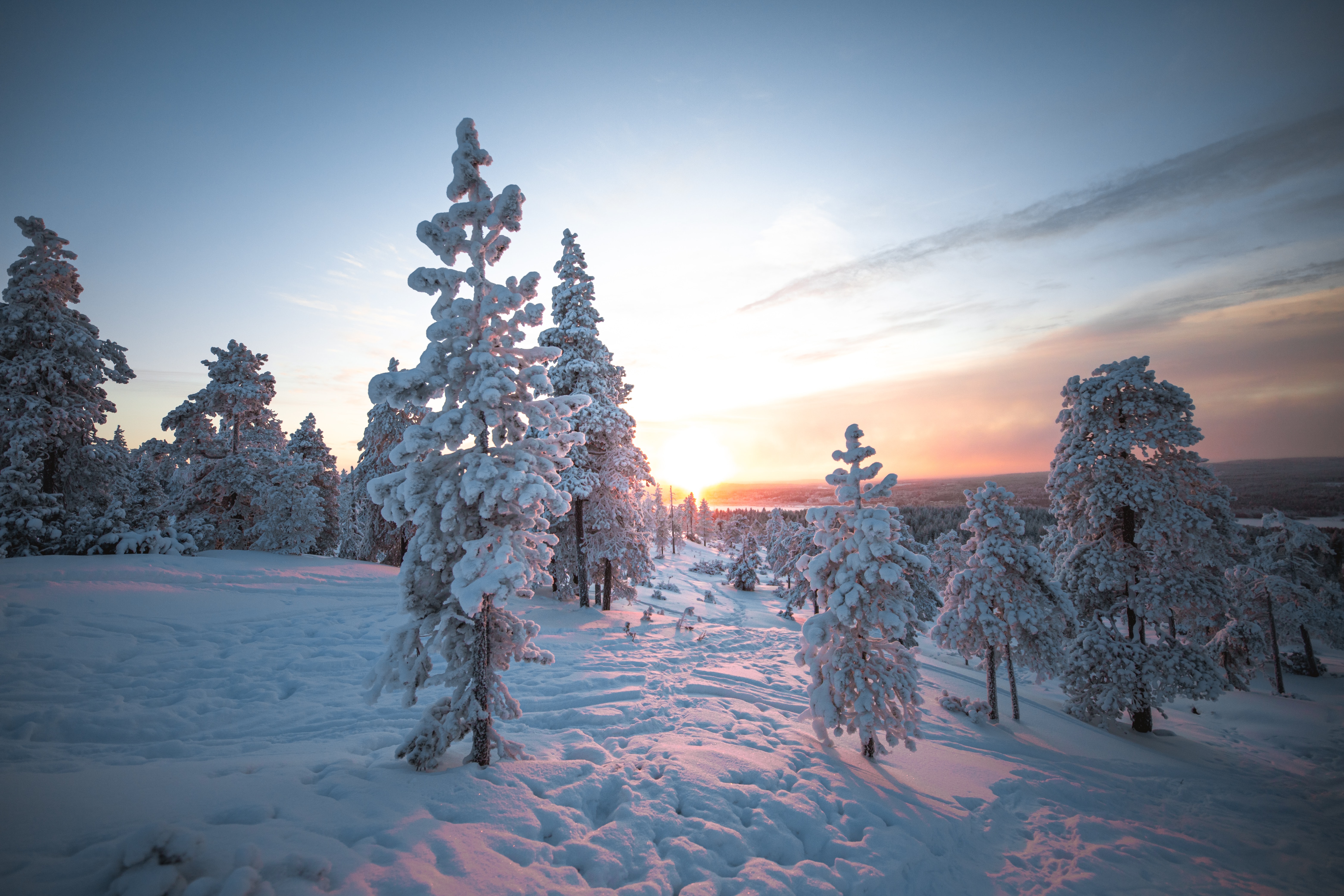 snow, nature, winter, sunset, trees for android