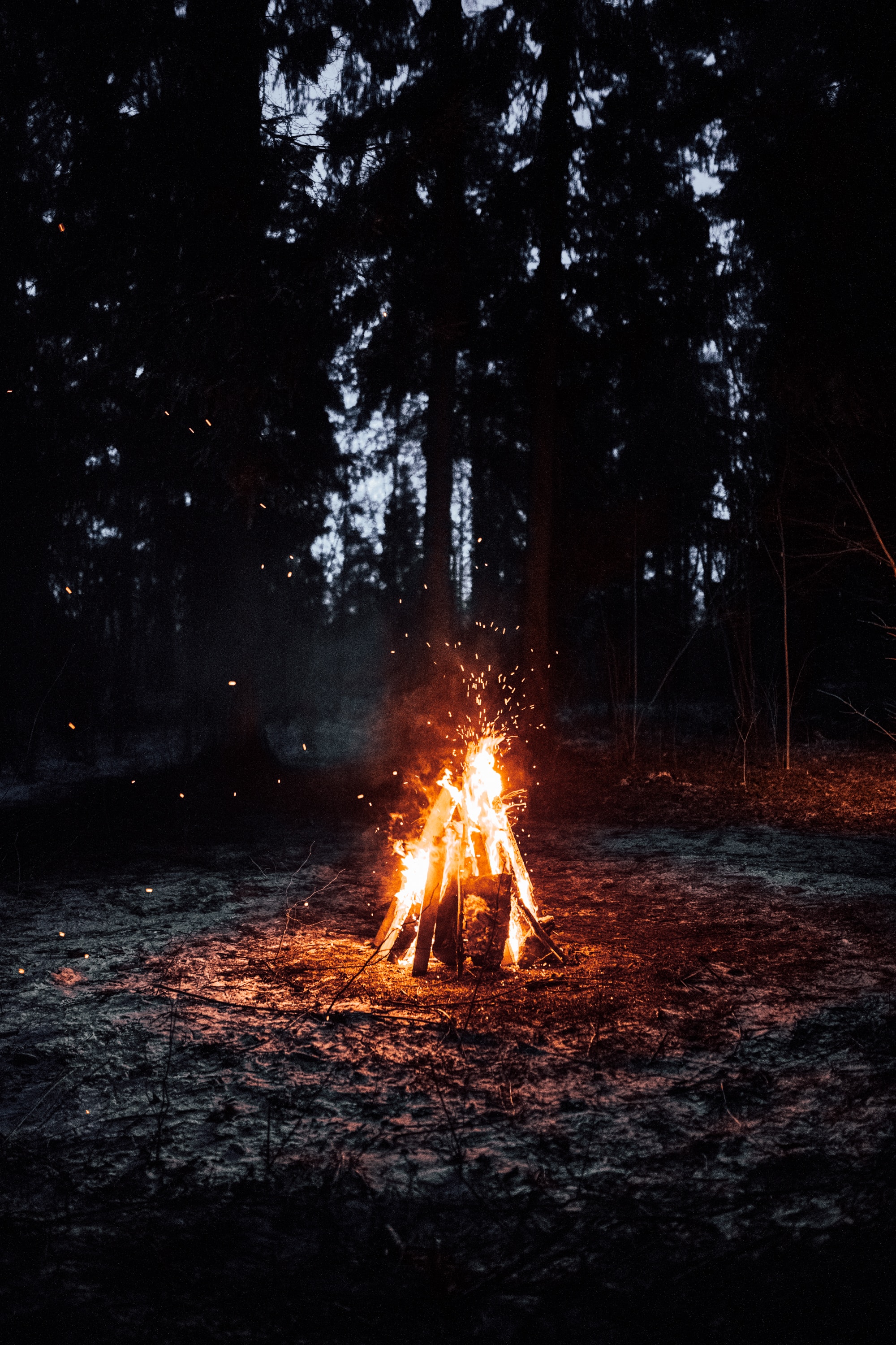 bonfire, sparks, fire, campsite, dark, camping