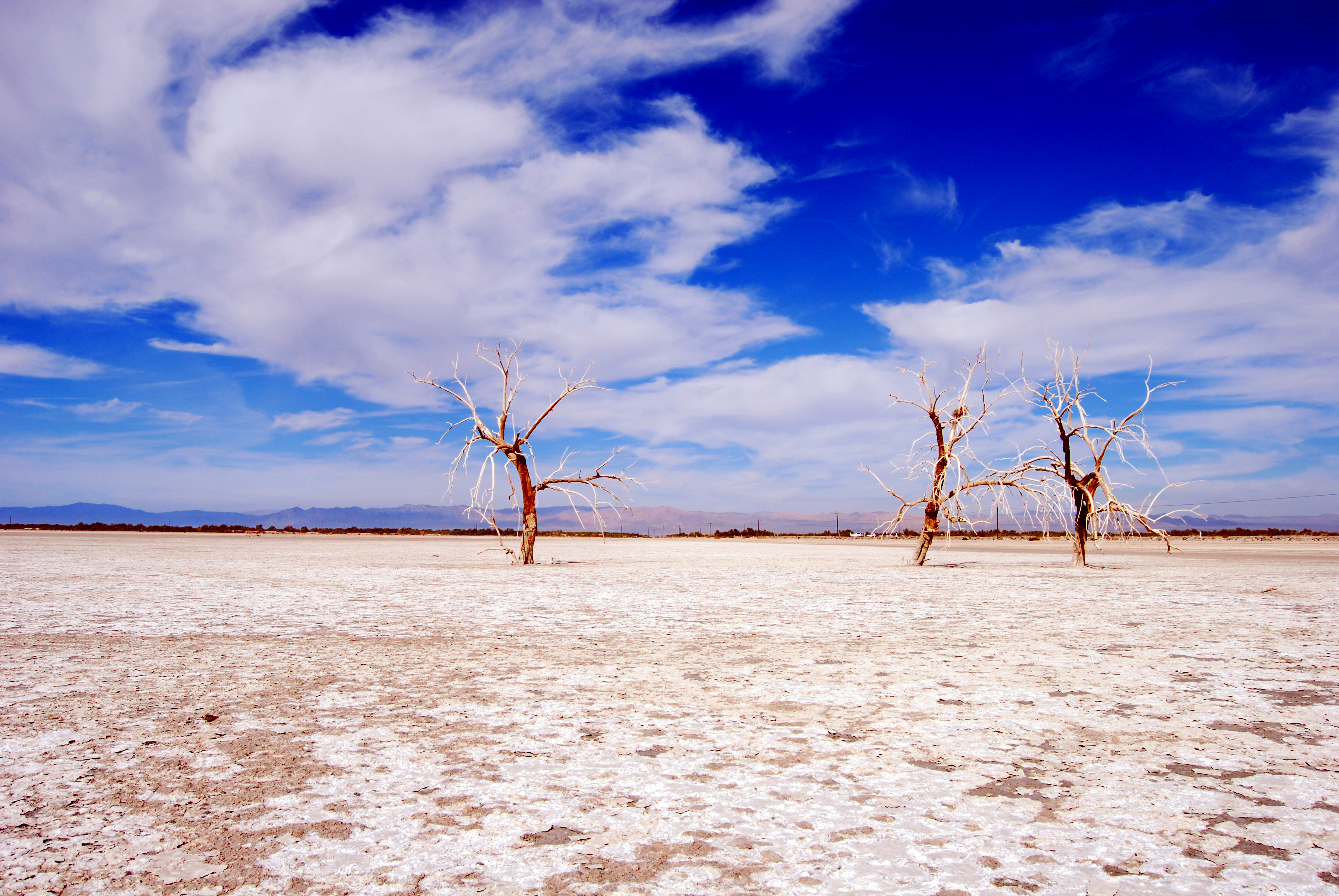 Download mobile wallpaper Dry Lake, Sky, Clouds, Branches, Trees, Nature, Desert for free.