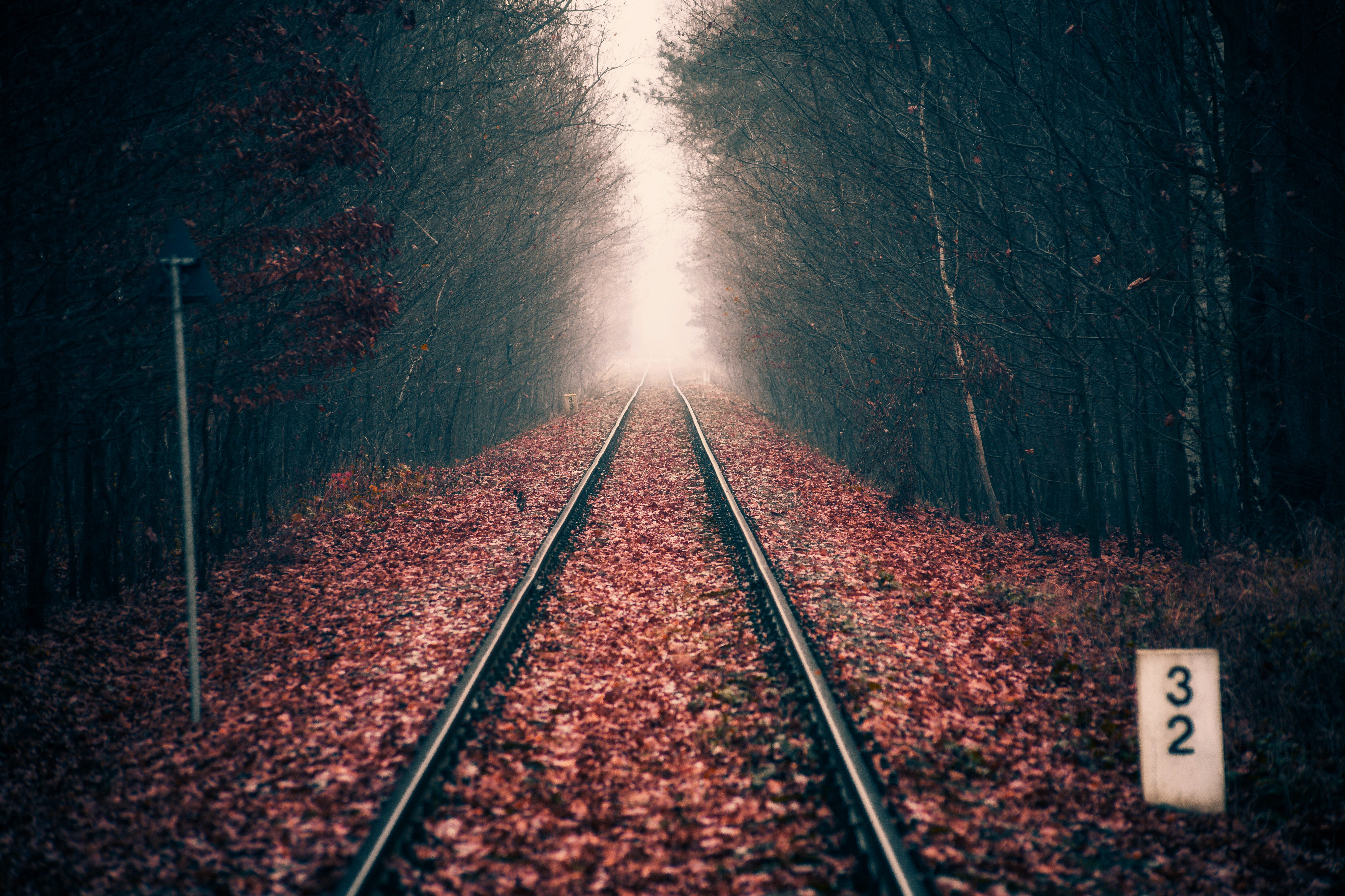 railway, autumn, nature, rails, forest, foliage, dahl, distance Aesthetic wallpaper